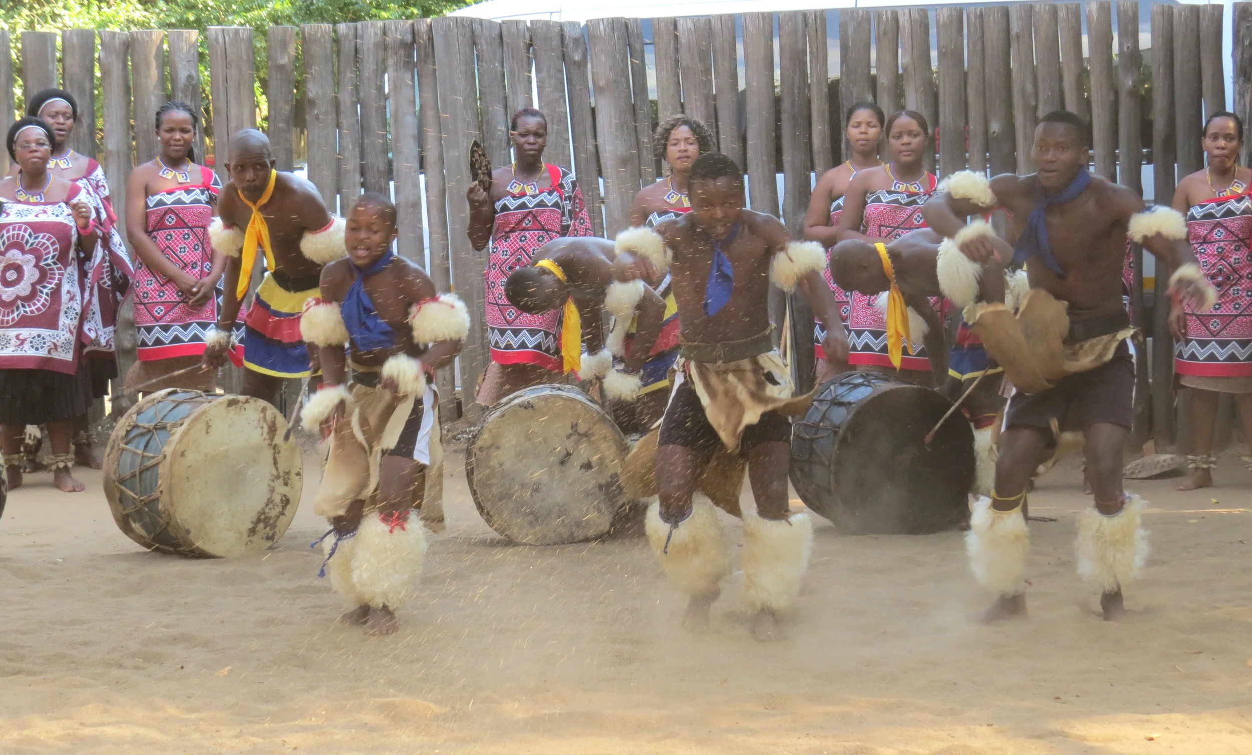 Young Swazi men showed lots of enthusiasm doing traditional dances.