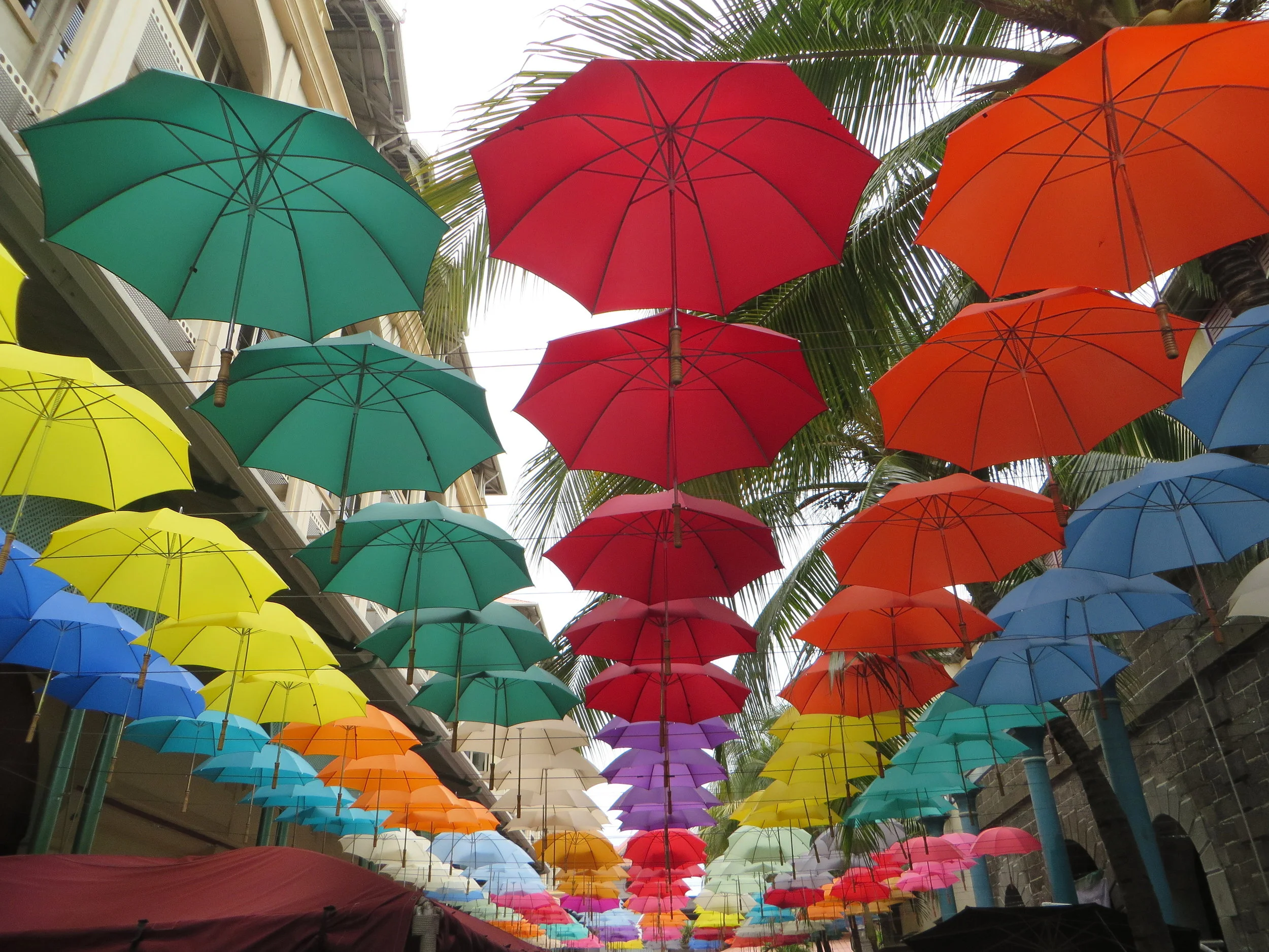 A rainbow of parasols hung above the waterfront walkway, providing both shade from the sun and a riot of color to pedestrians.