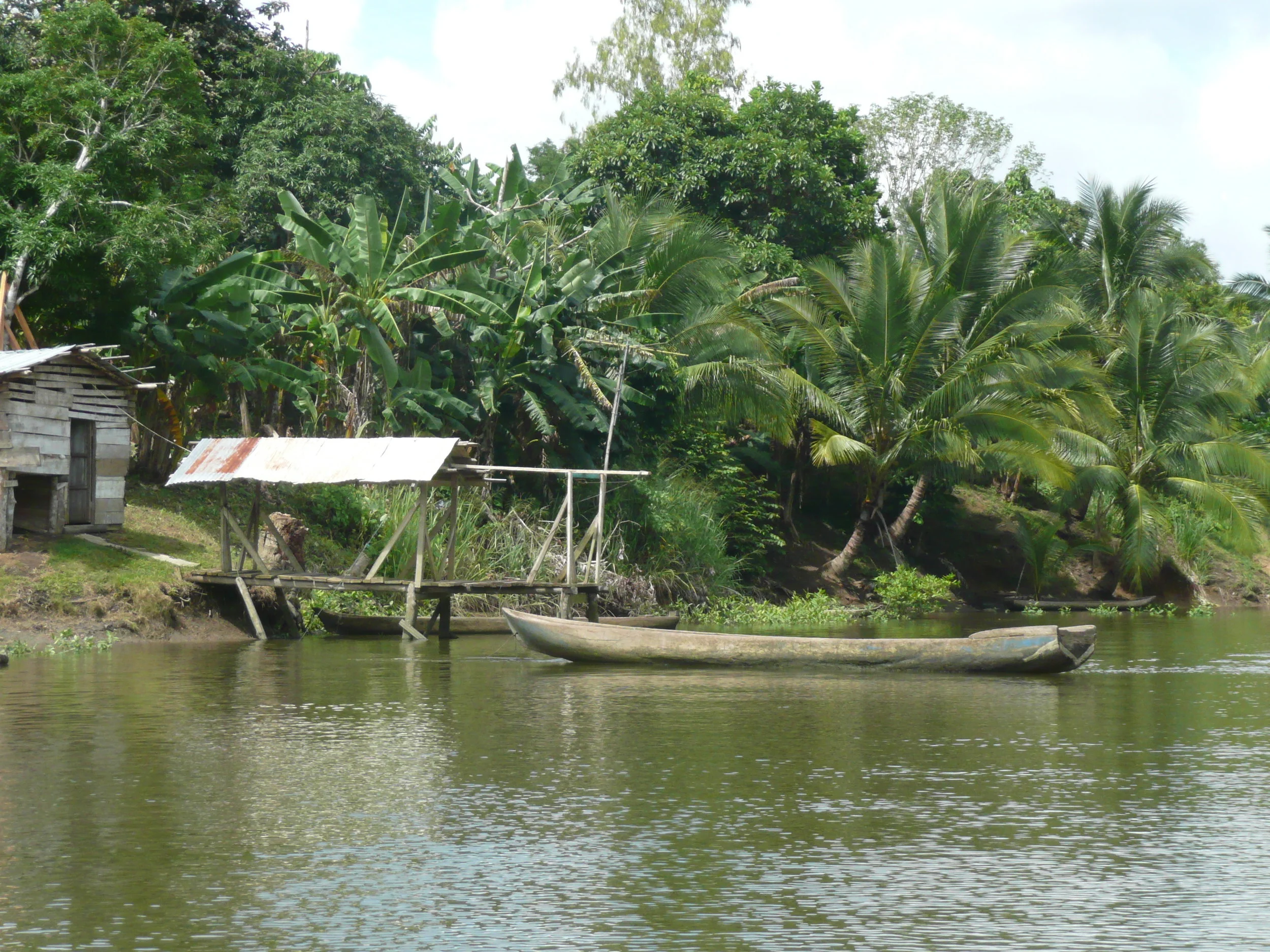 Up the Rio Sabana in Panama's Darien jungle