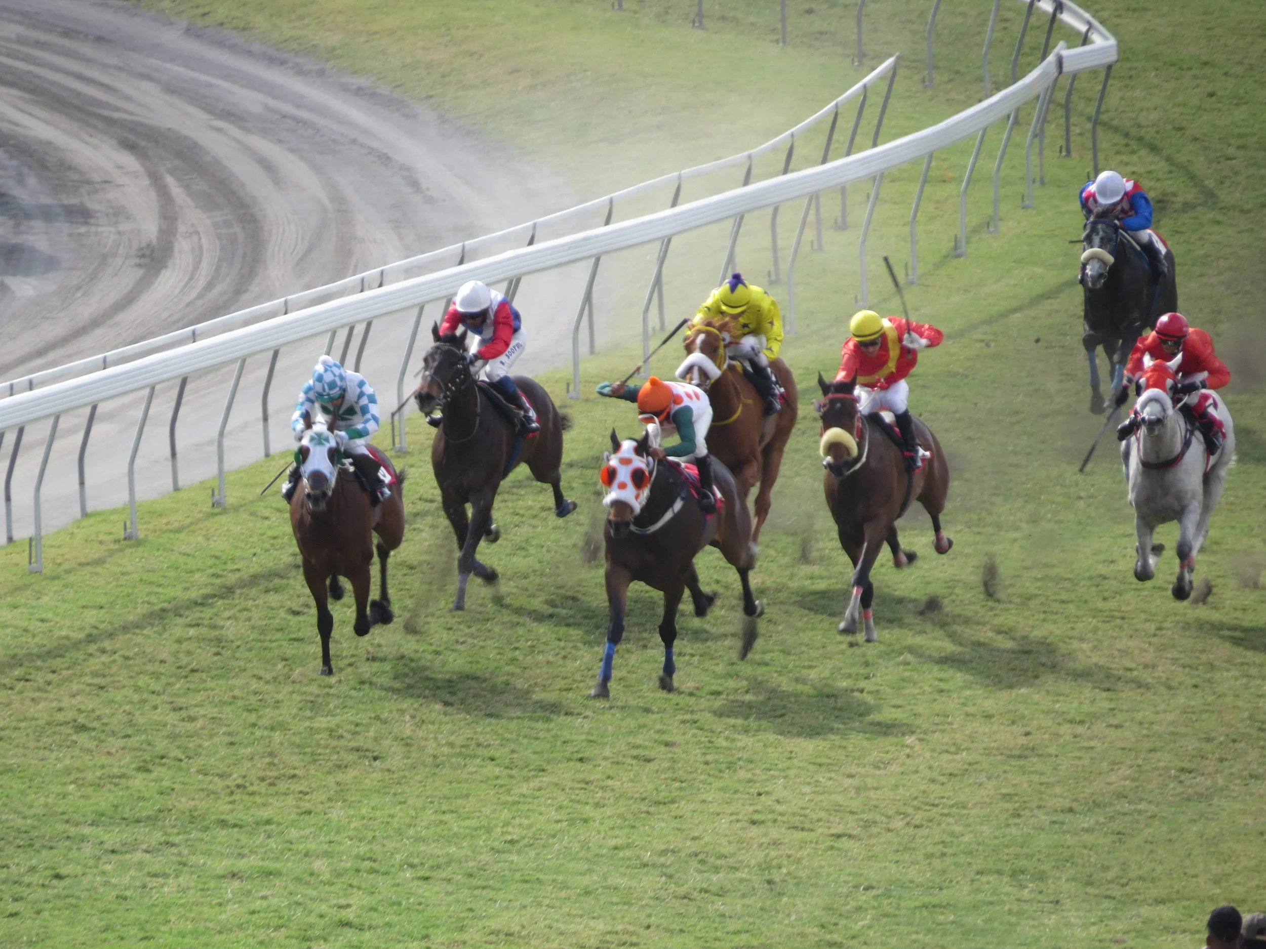 Watching the races from our box seats was great!