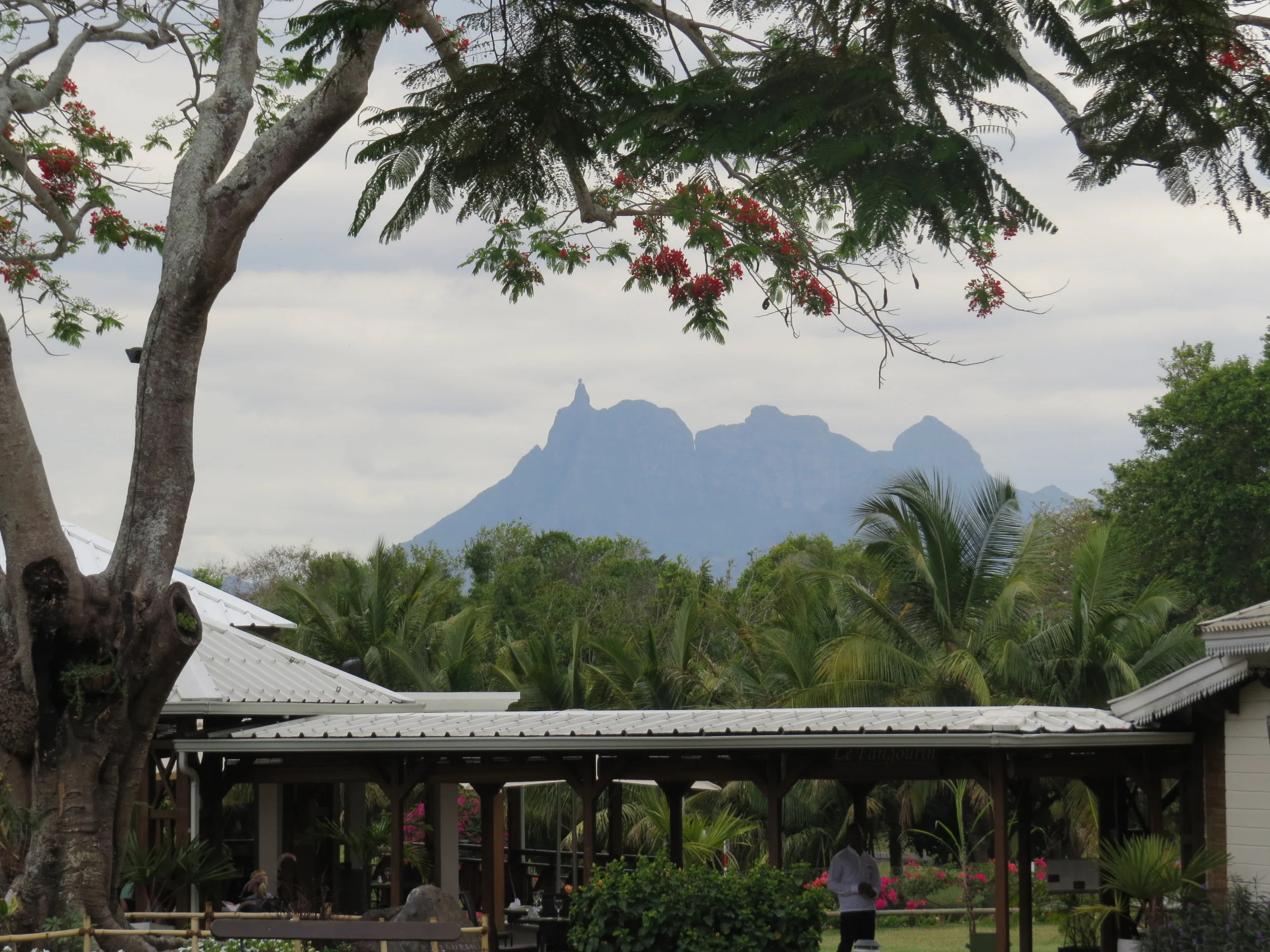 The outside view of the distant mountains was more interesting than the inside view of boilers and sugar processing equipment.