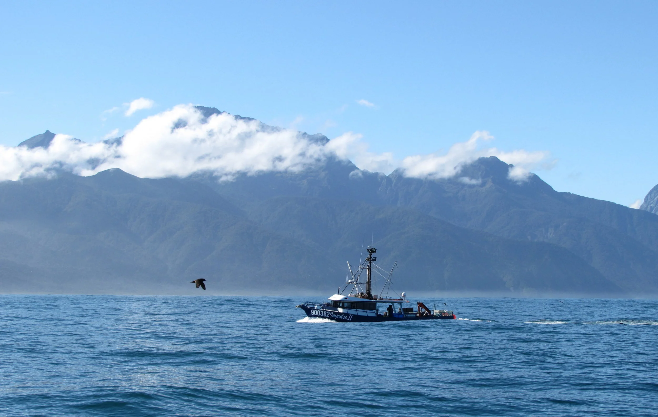 A fishing boat at the entrance to Milford Sound