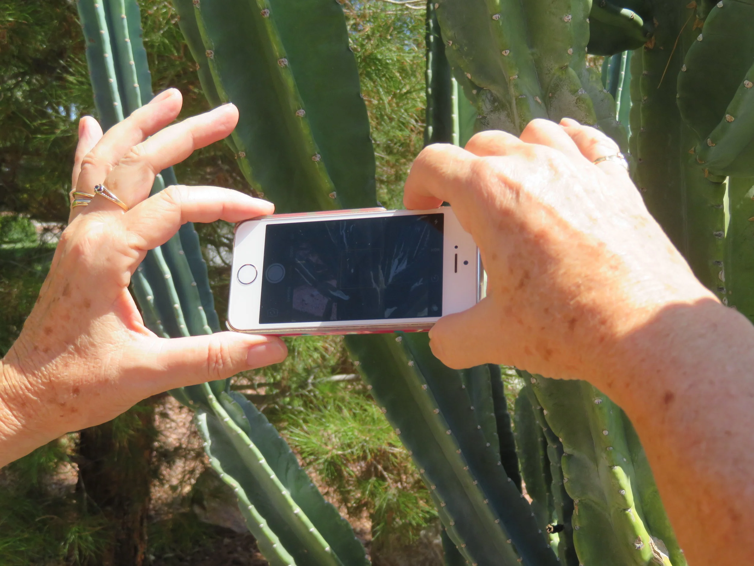 Old Dog-New Tricks: Better photos with your smart phone
