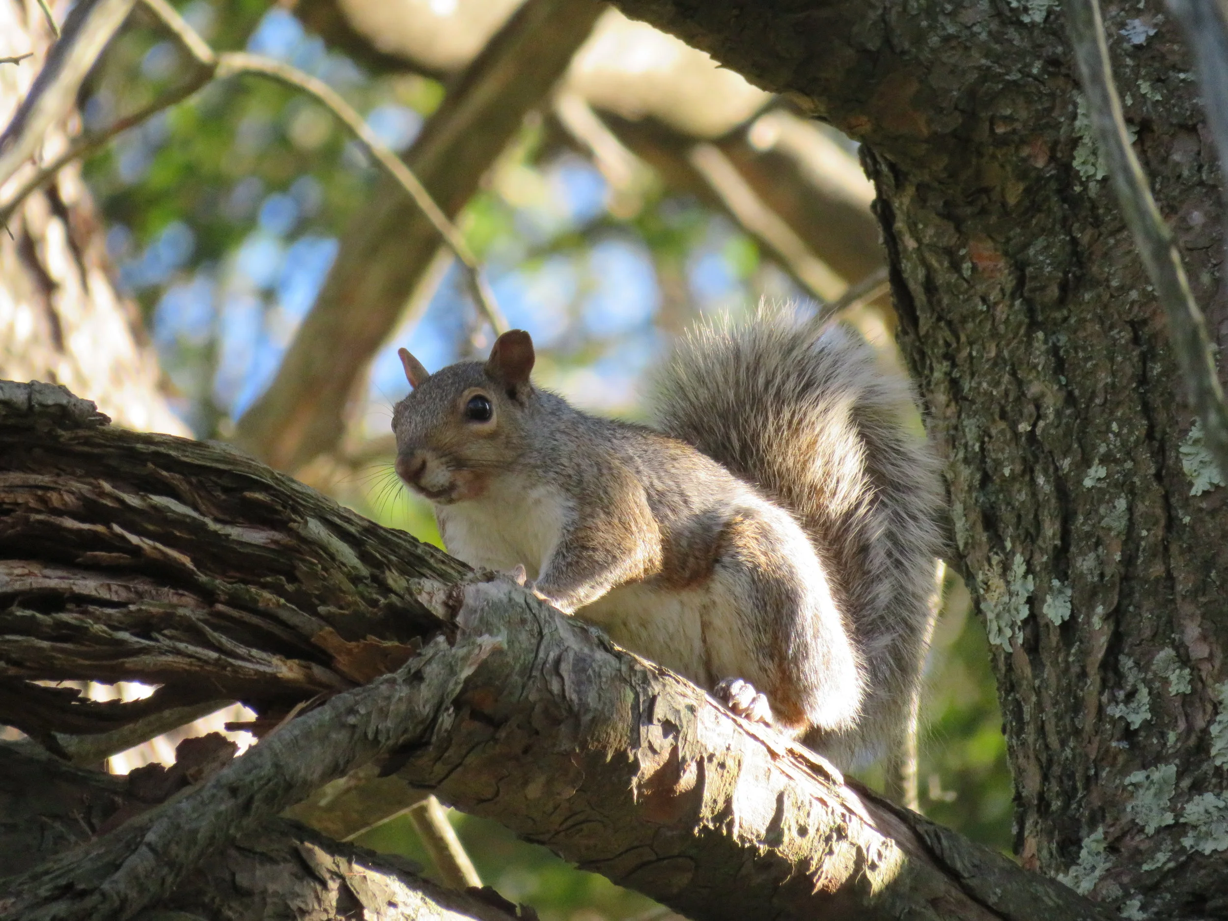 Alone, but not lonely