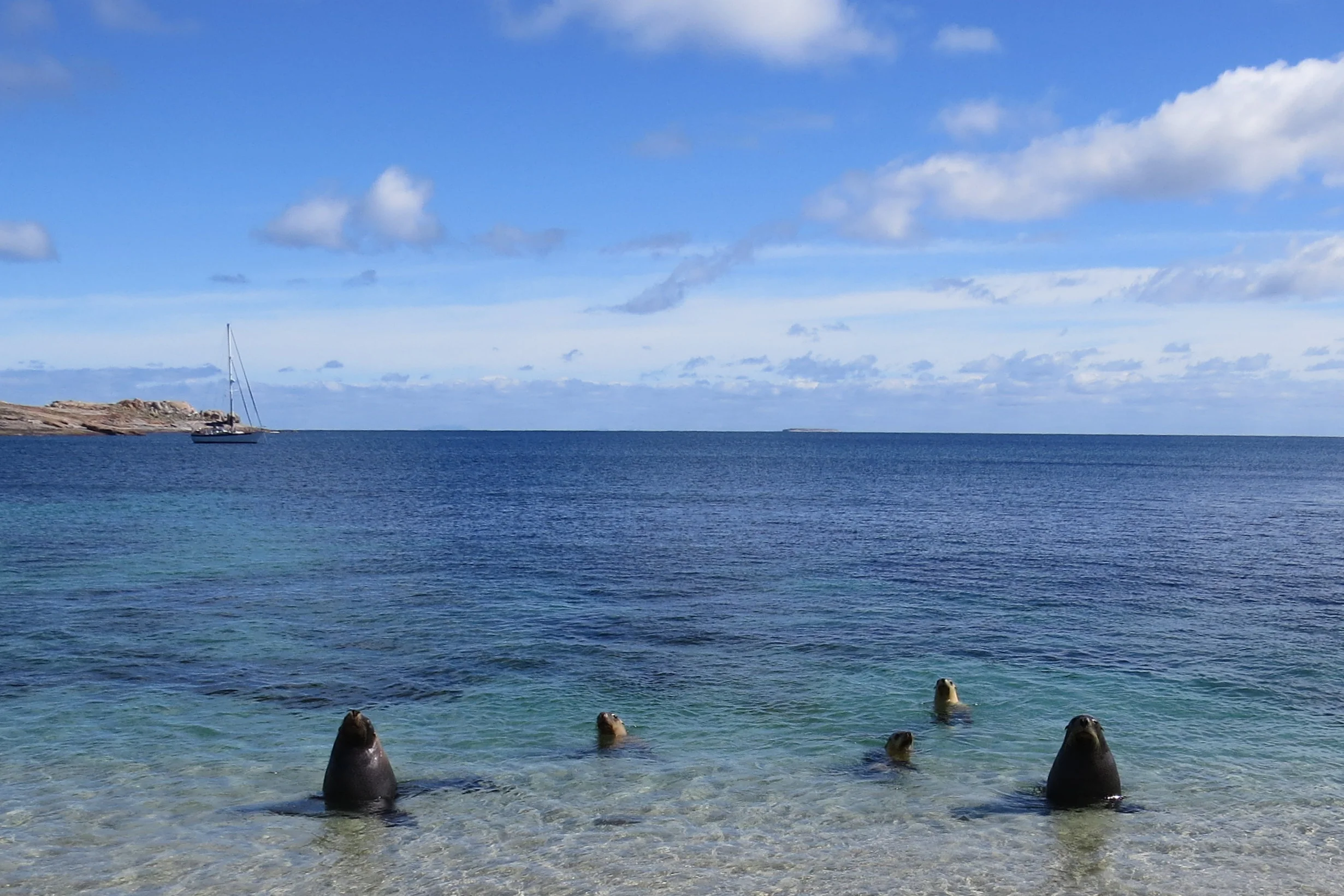 The local inhabitants of Daw Island were curious about us.