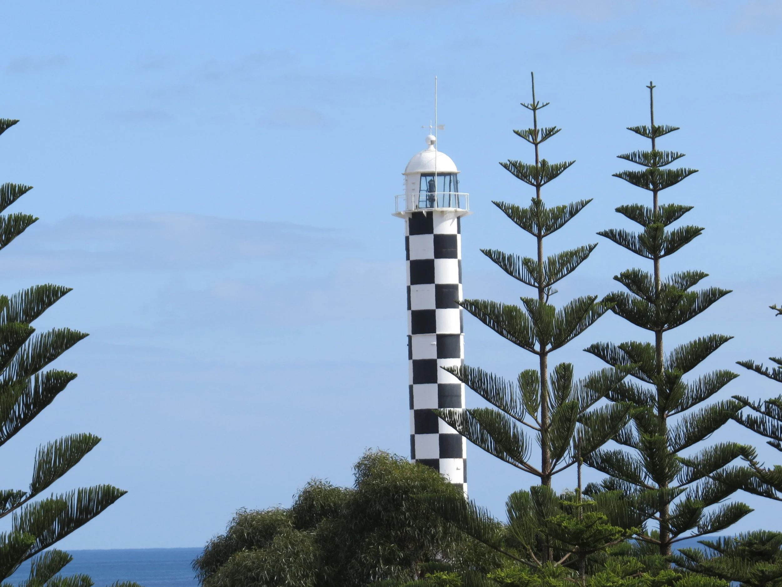 Checkered Bunbury Light nestled among the Norfolk pine.