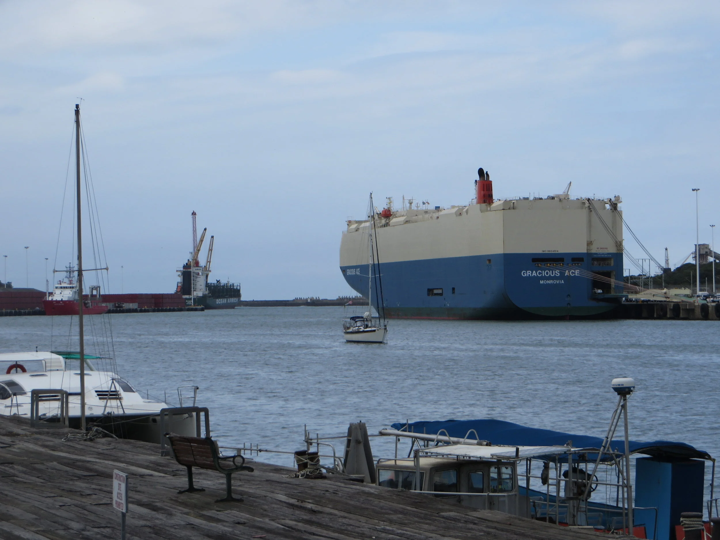 Compared to the huge car carriers tied up at the docks, Nine of Cups looked very small anchored in the Buffalo River in East London.