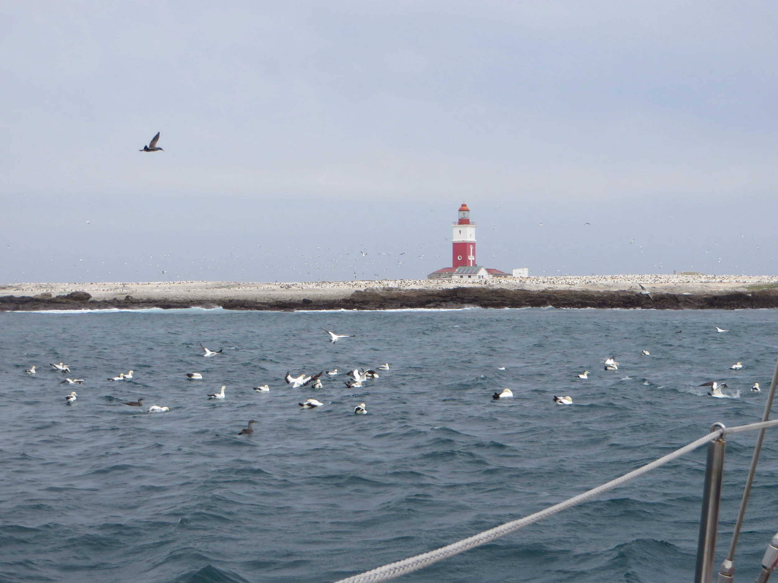 Another weather window had us anchored off Port Elizabeth at Bird Island . What a view!