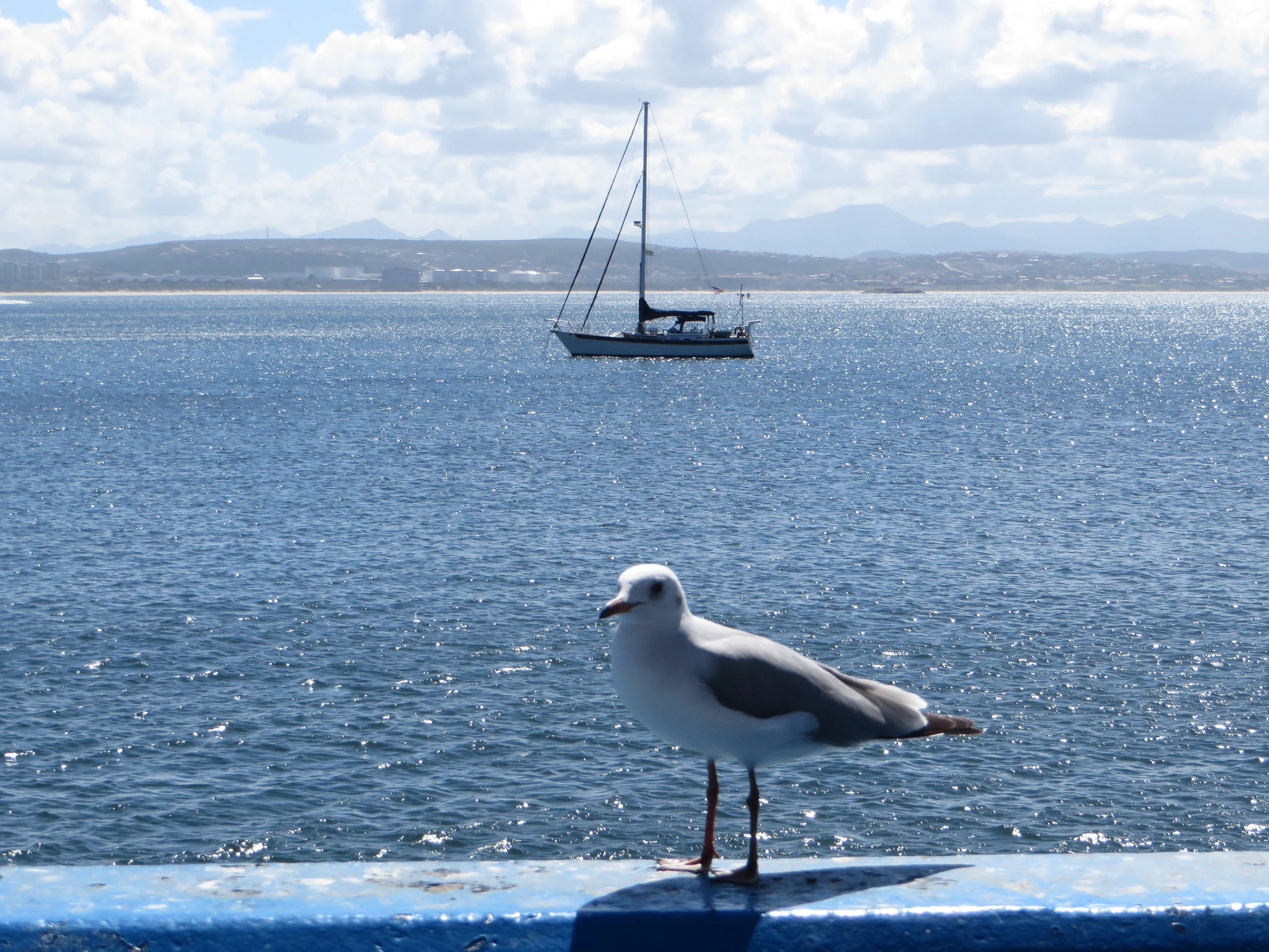 Mosselbaai was awesome!