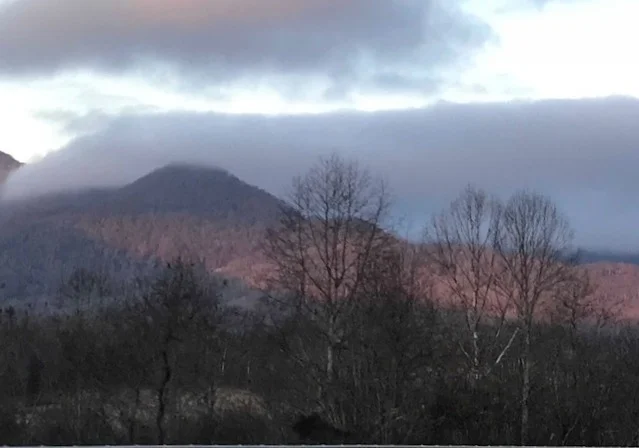 Smoky Mountain view