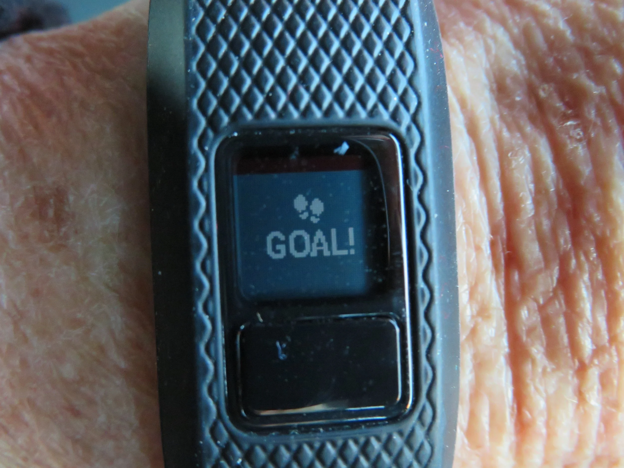 Keeping Fit – My New Activity Tracker