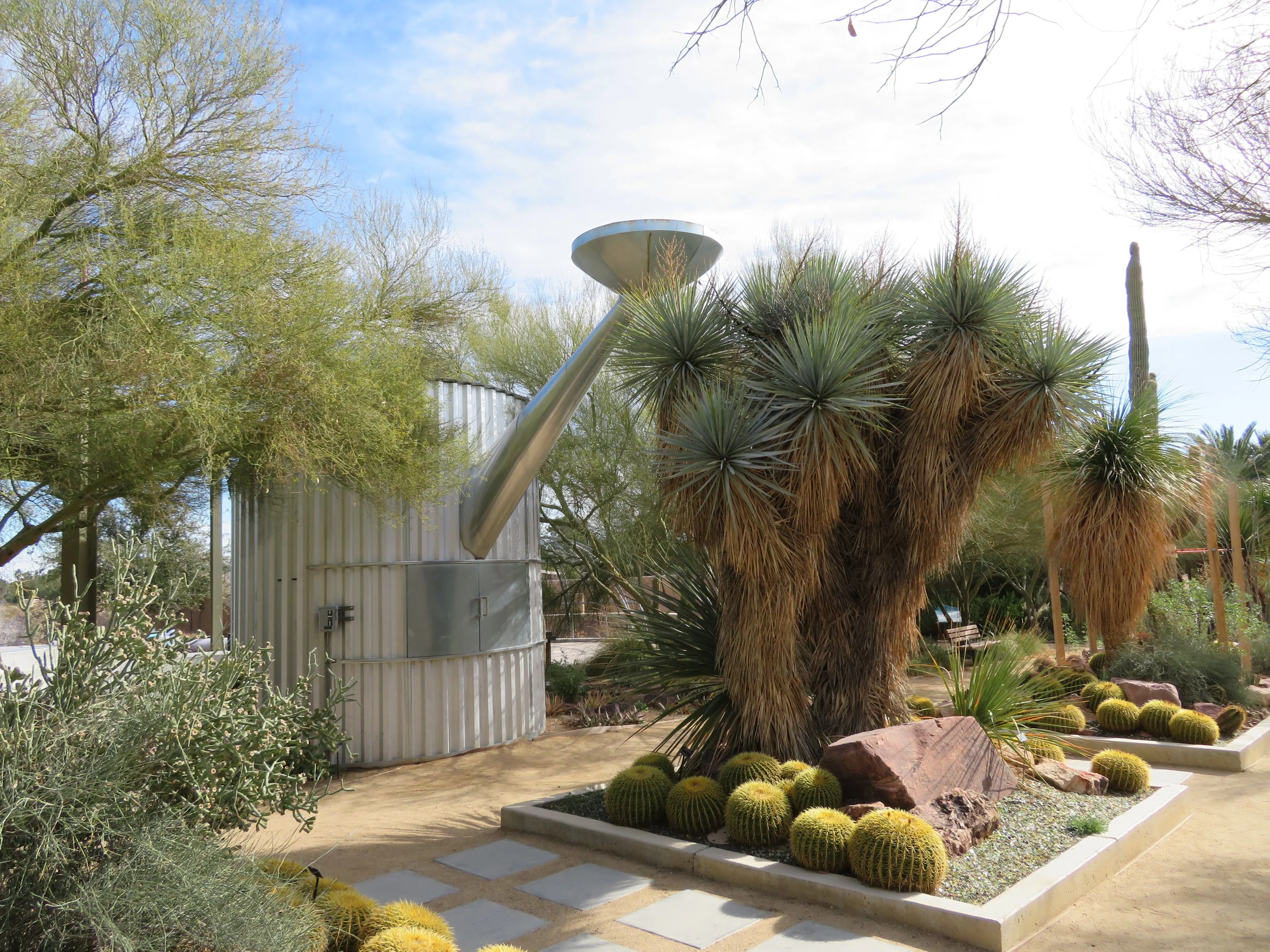 Springs Preserve specializes in native desert gardens and plants.