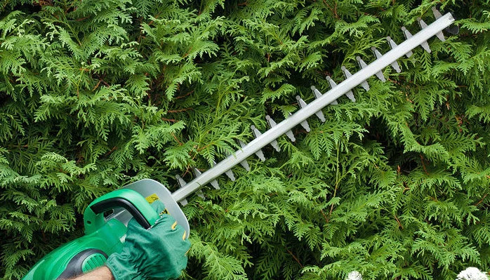 They let me loose in the front yard with an electric hedge trimmer ... Yahoo!