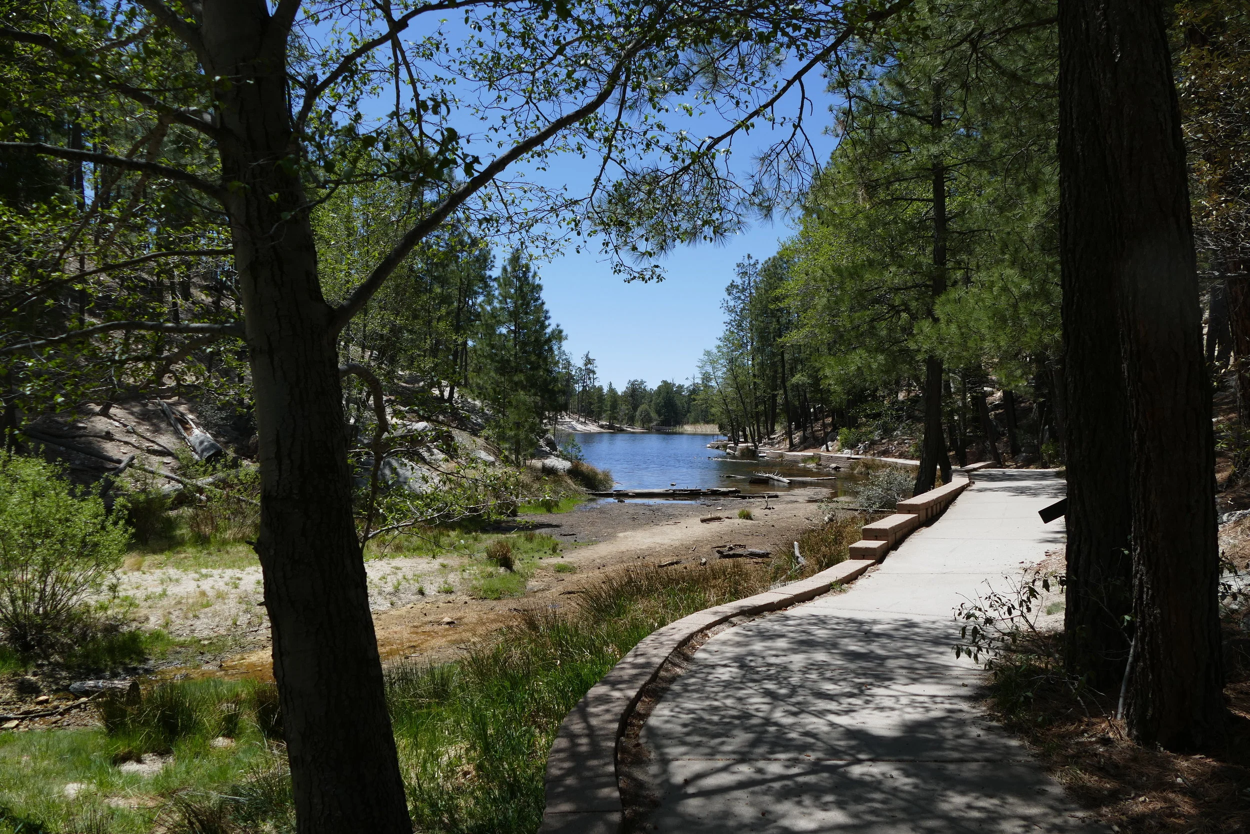 Rose Canyon Lake walk