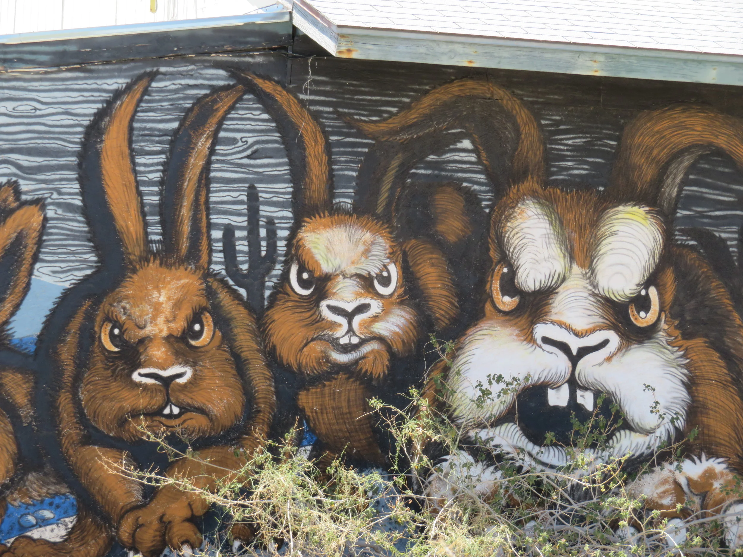 Great Western Loop – Pits, Plazas & Mutant Rabbits