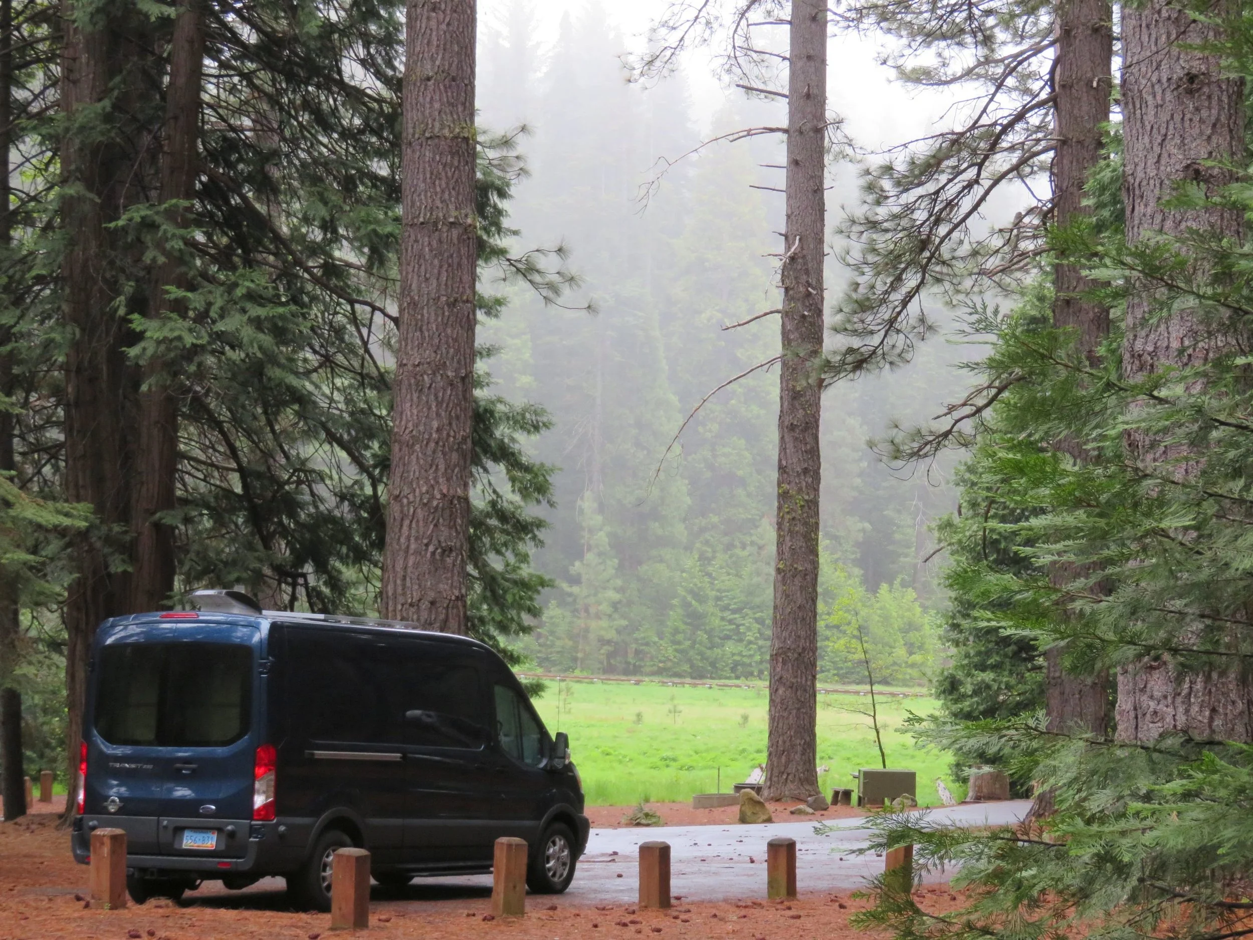 Even damp, drizzly, raw days are beautiful here.