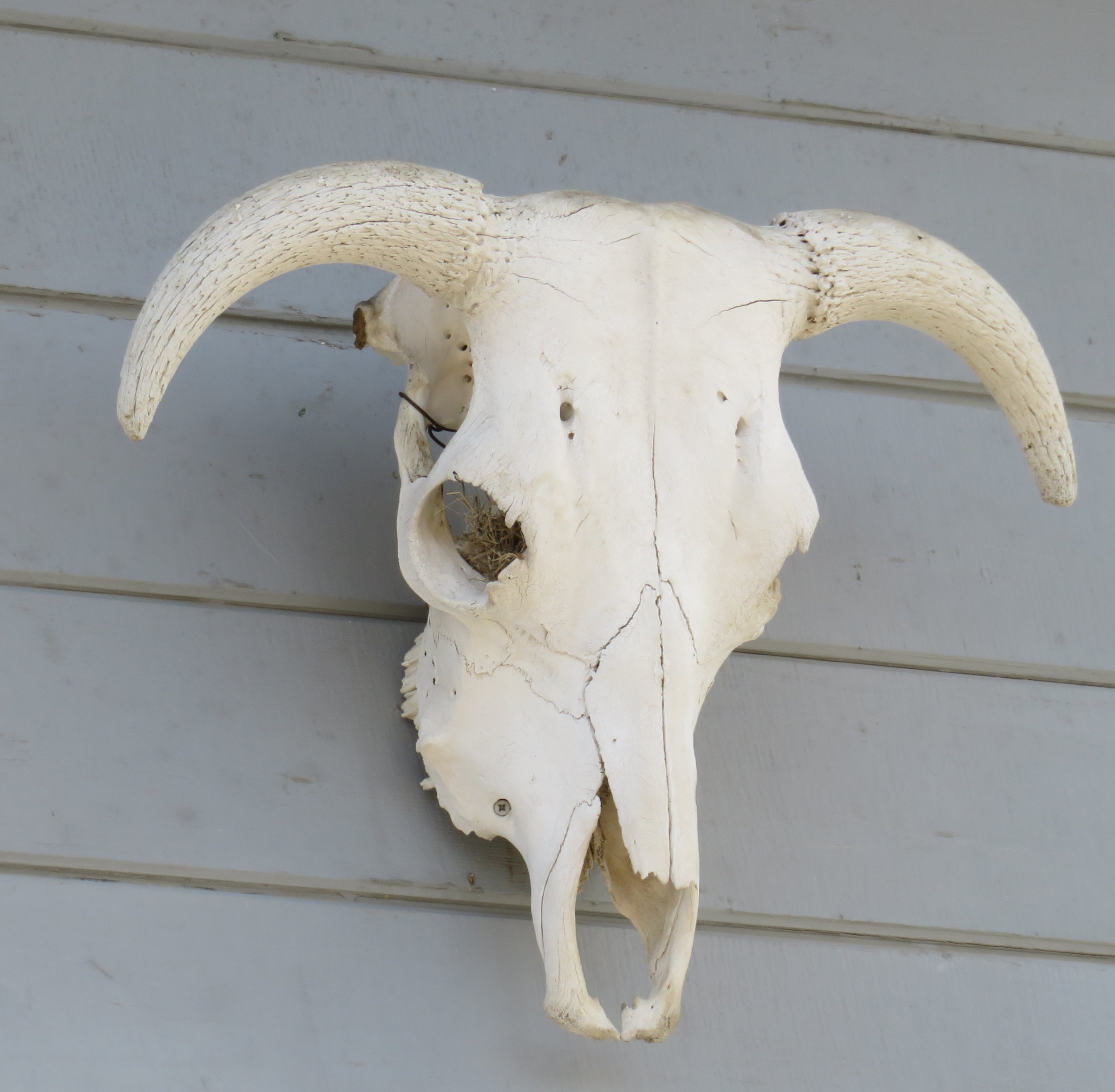 GWL - In Search of Ben Cartwright