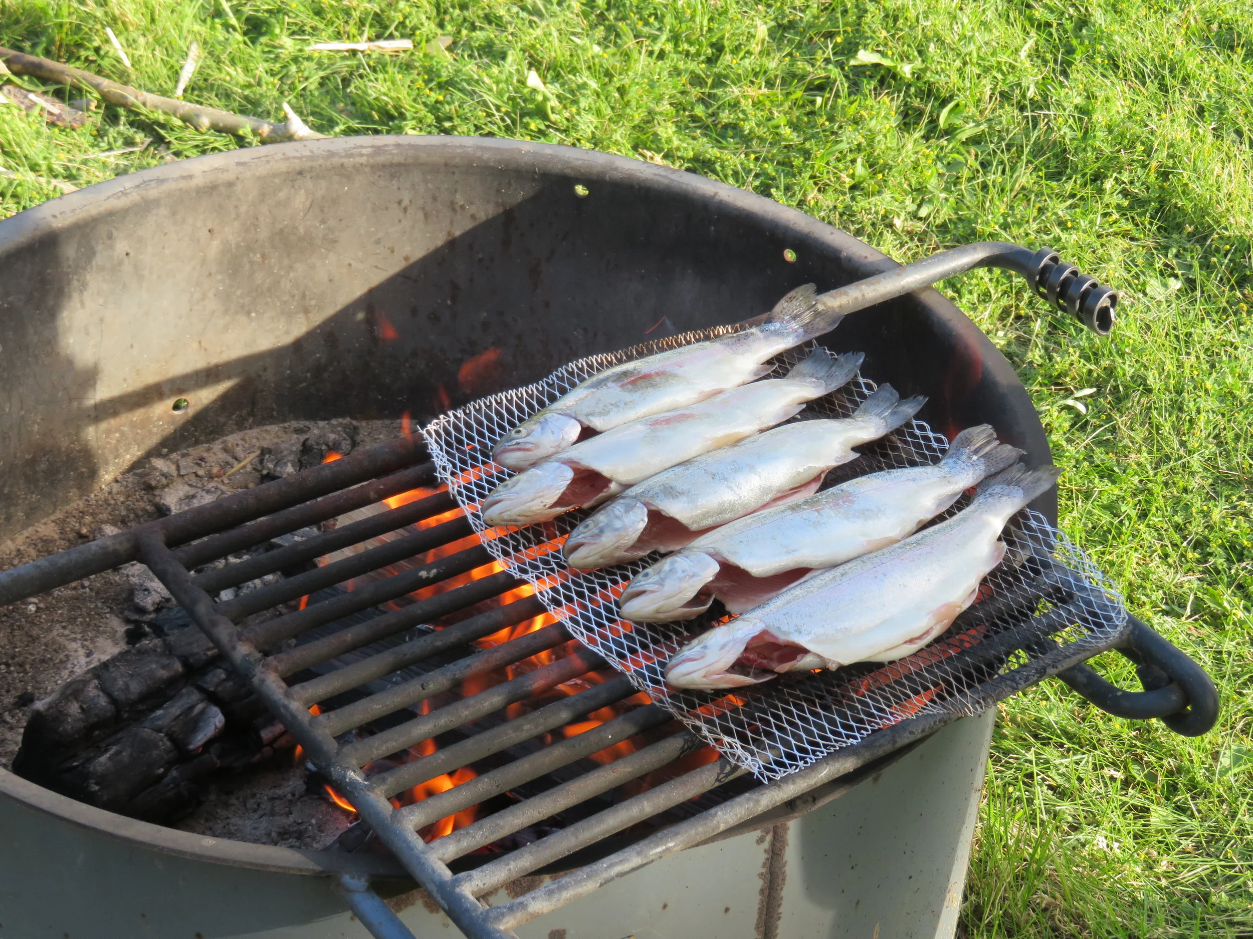 GWL – High Desert, Wild Horses &amp; Steens Mountain