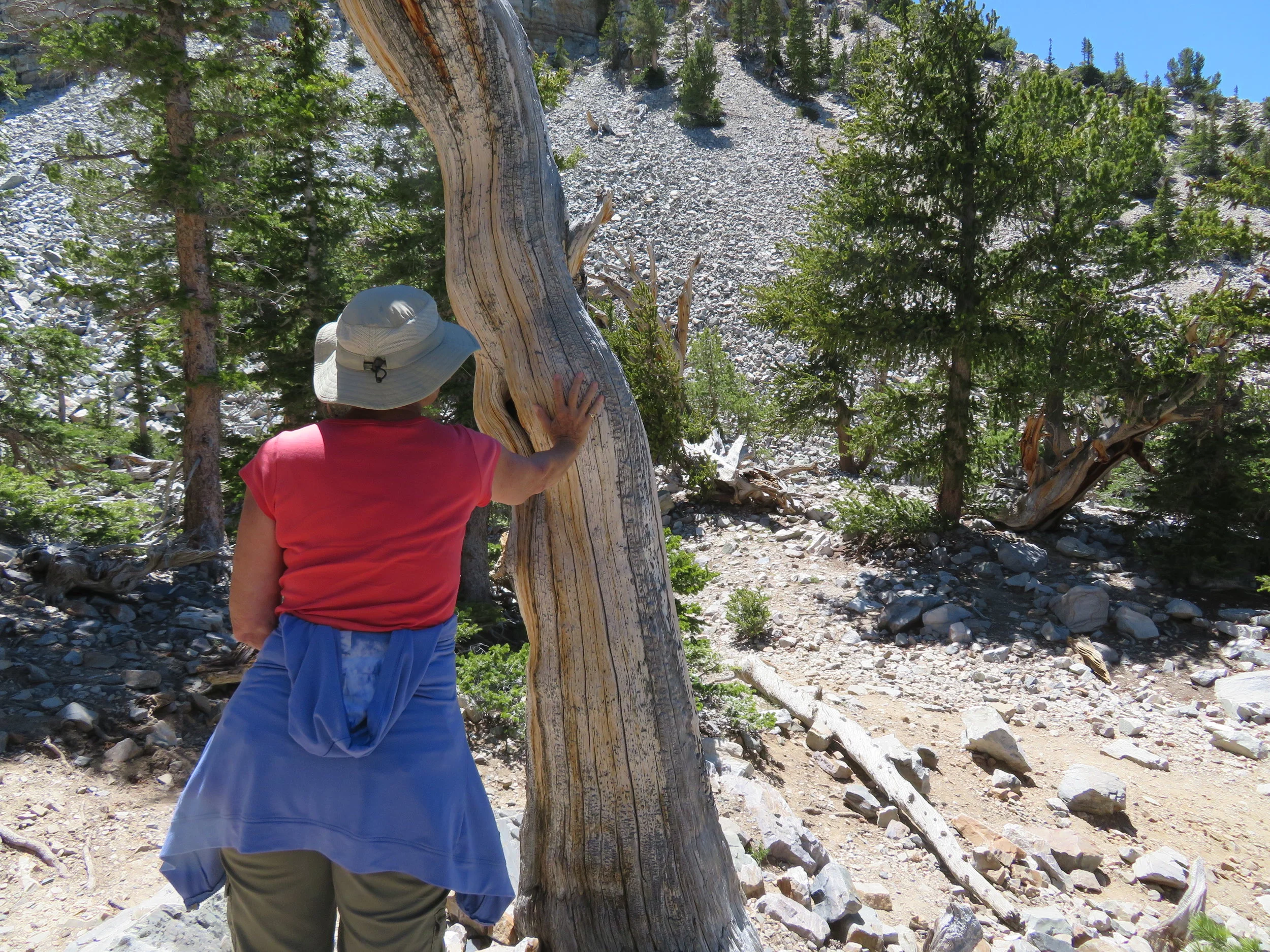 GWL – Great Basin Heat &amp; Cedar Breaks Cool