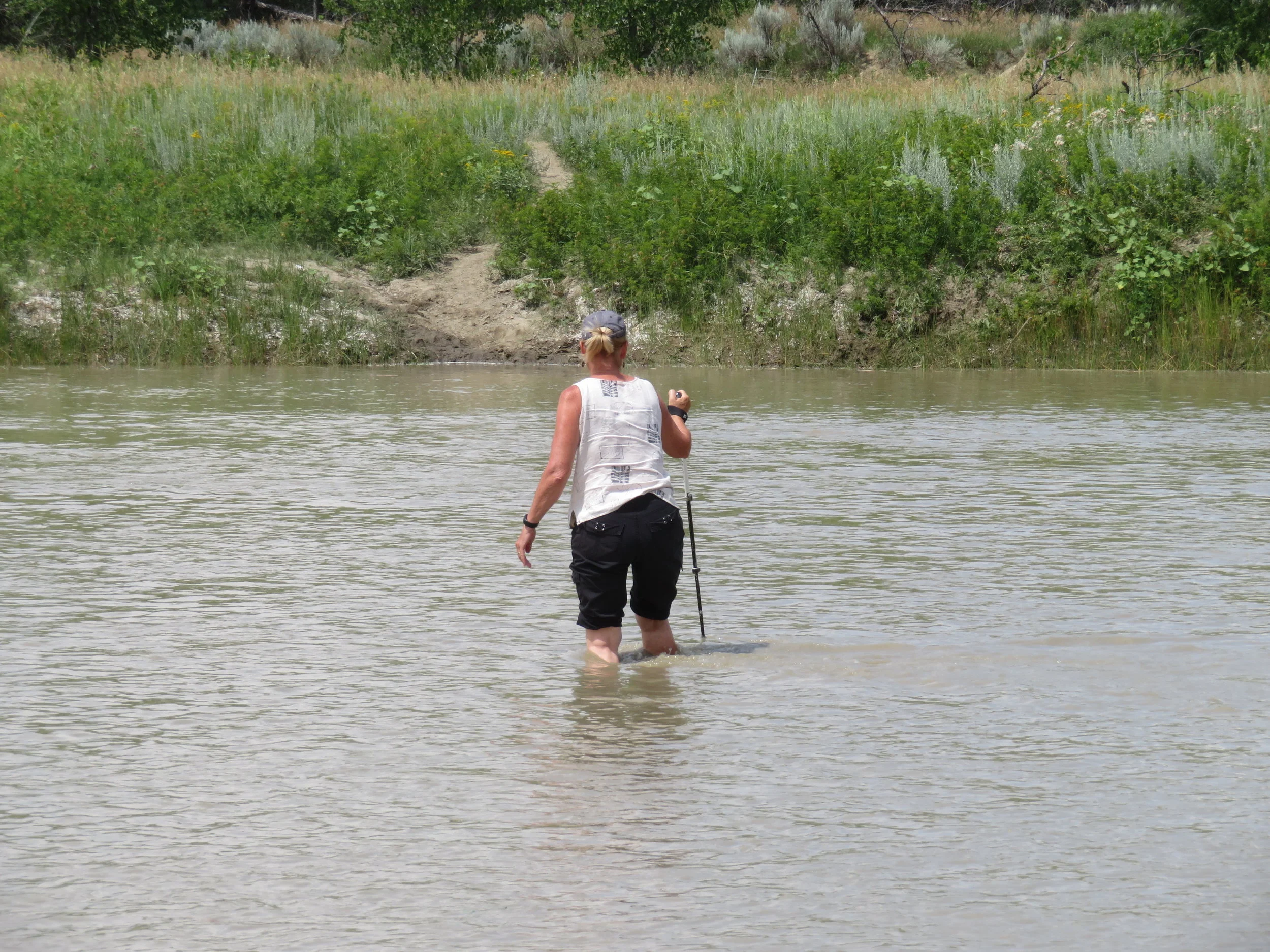 TTH – Thank you, Teddy Roosevelt!