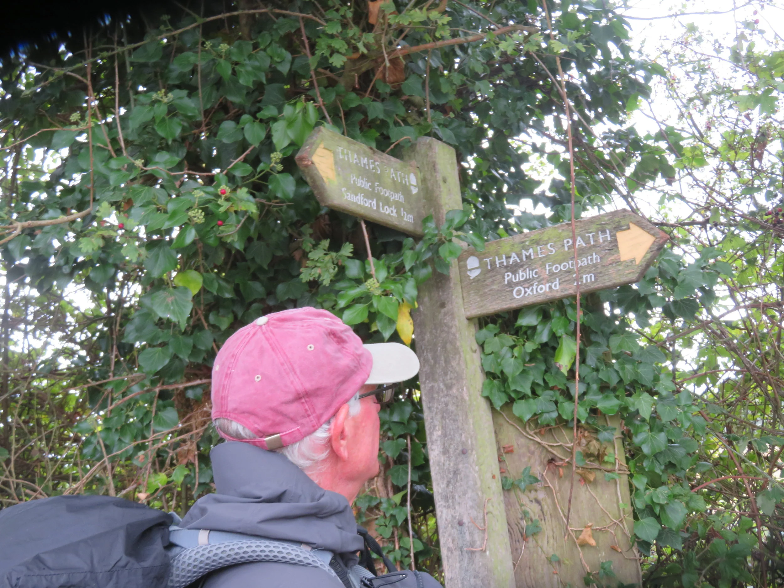 Thames Path – Dorchester to Abingdon and then on to Oxford