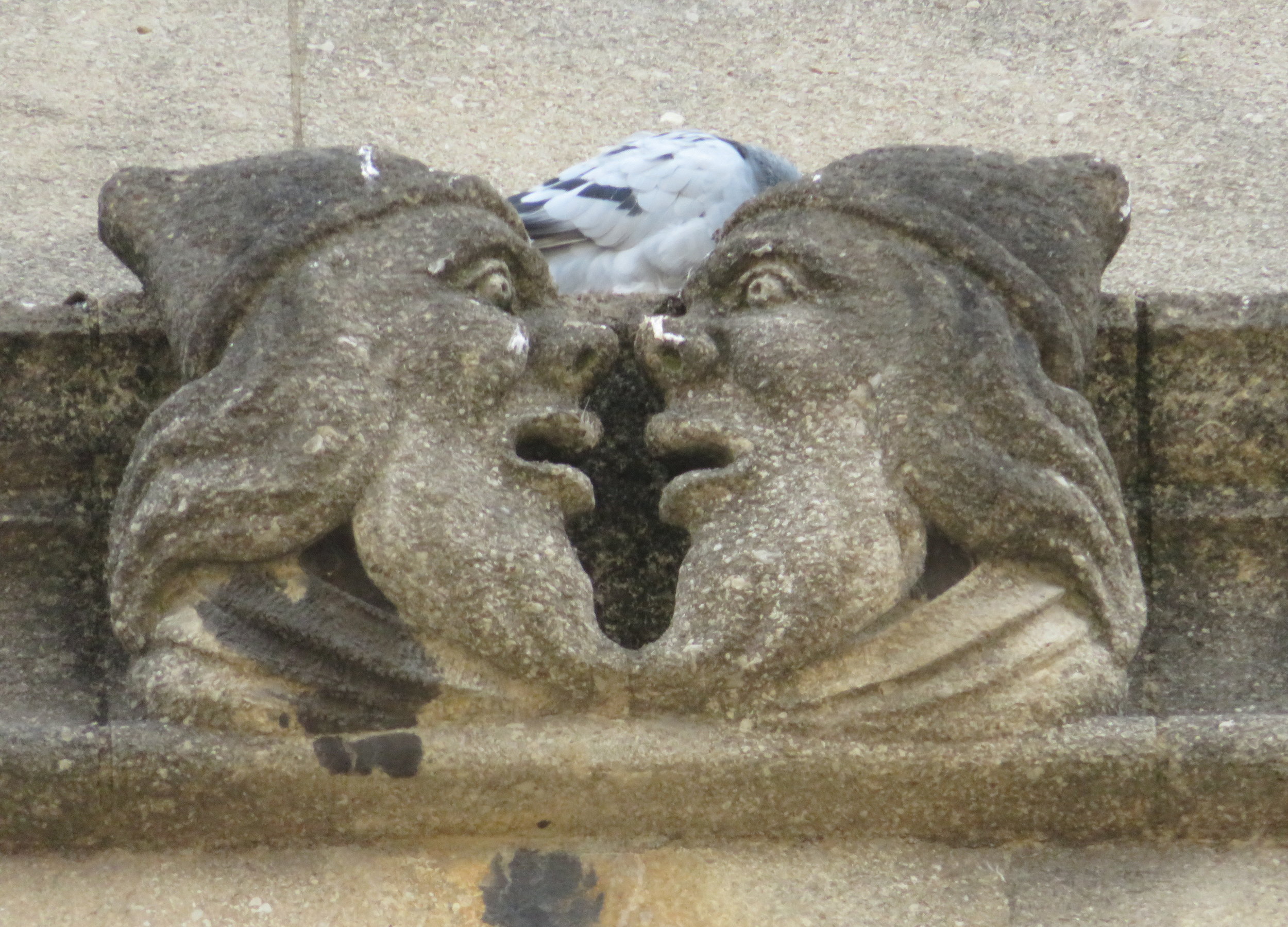 oxford_grotesques plus pigeon.JPG