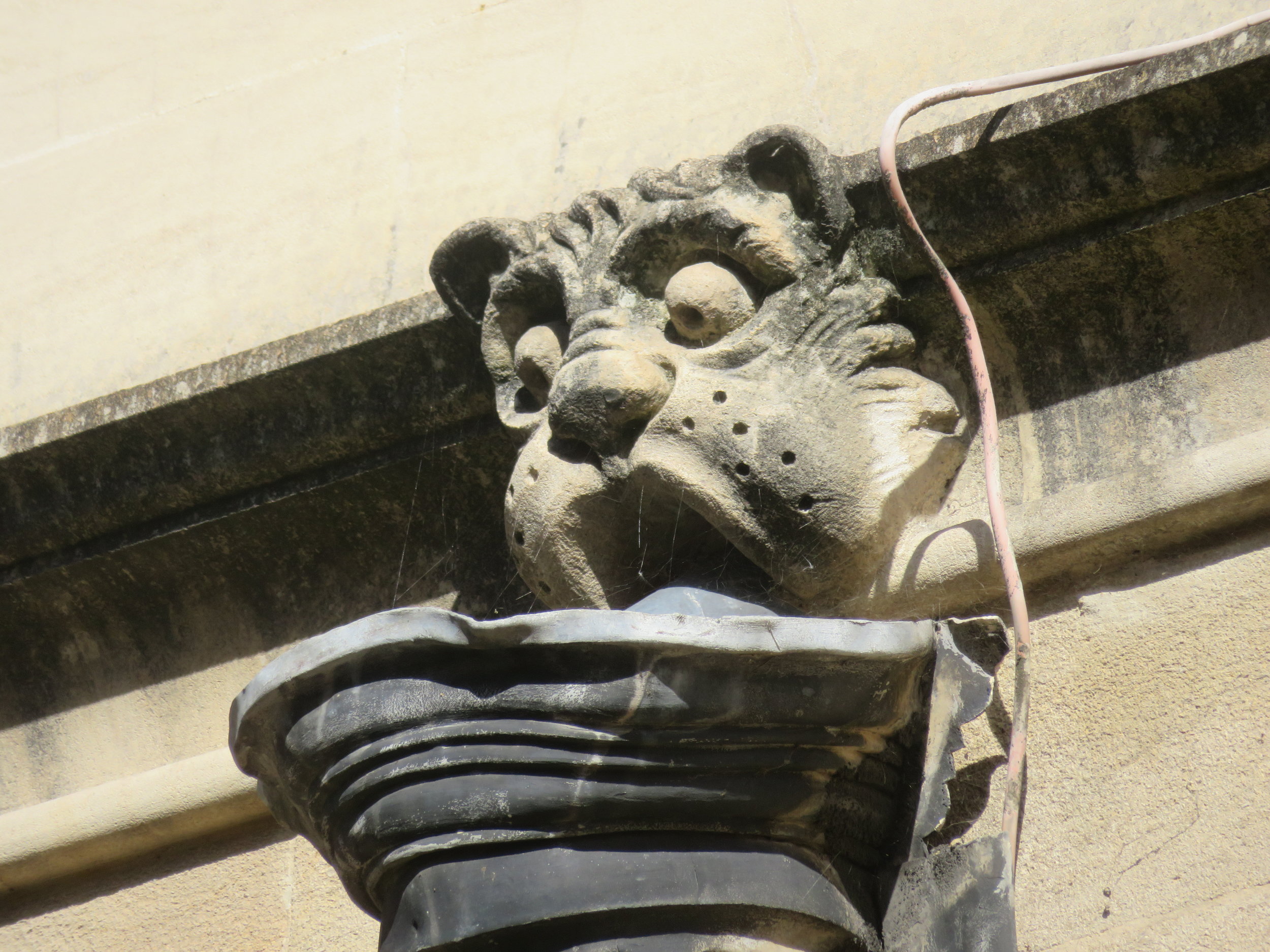 oxford_gargoyle.JPG