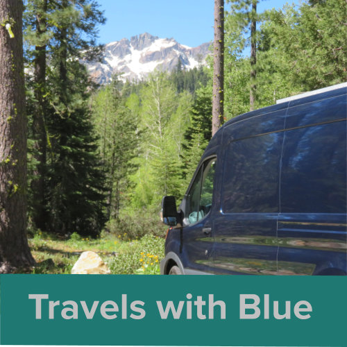 Travels w Blue Thumbnail Lg.jpg