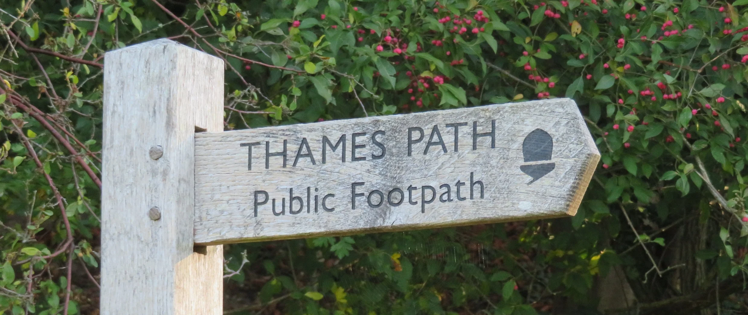 ewen-source_beginning or end.JPG