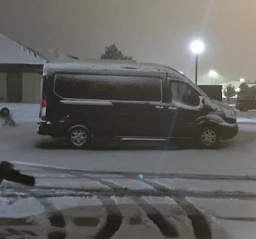 Blue was shivering in the snow and cold by morning.