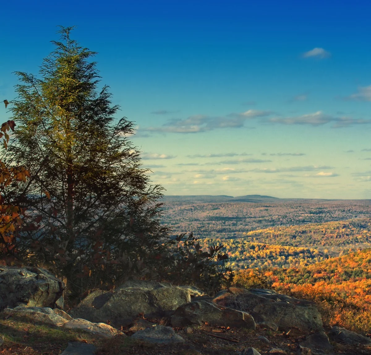 A view from the Appalachian Trail