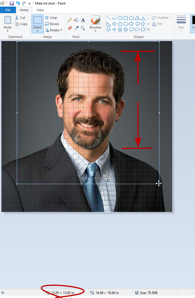 Paint Ex2.png