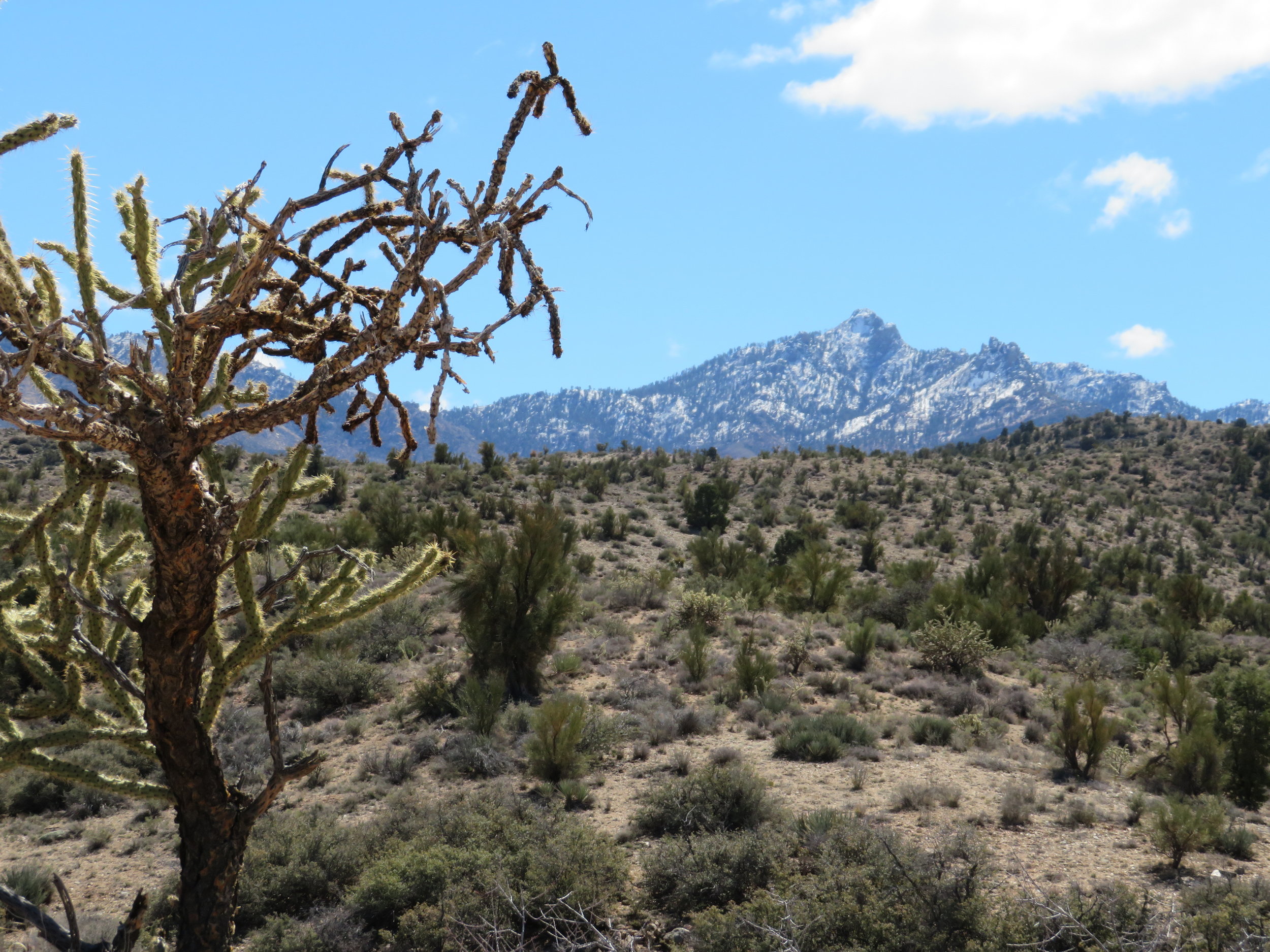 Hiking And Exploring In Kingman Arizona Just A Little Further