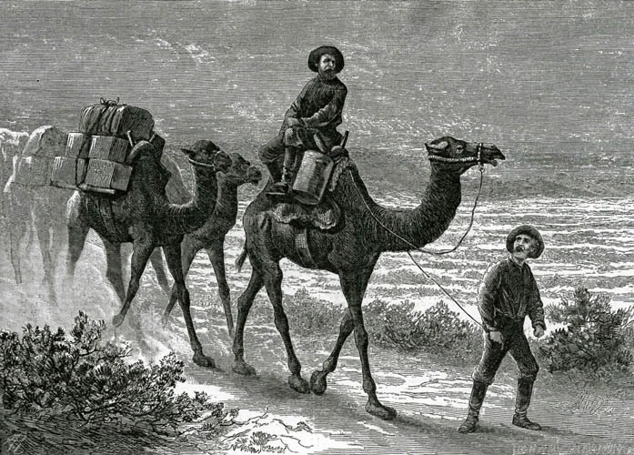 Beale’s Camel Corps