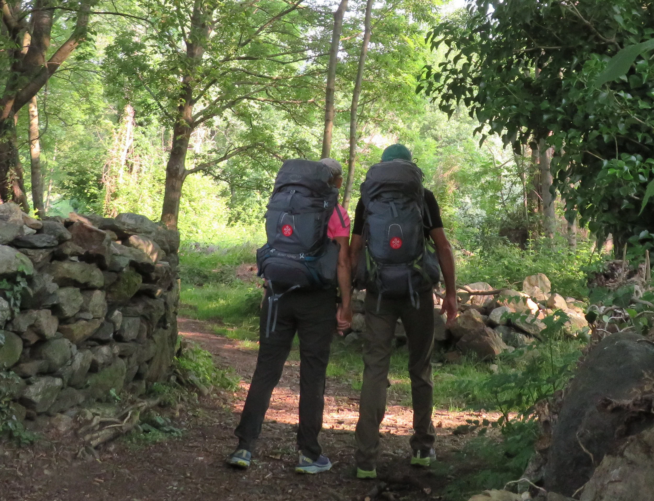 Piacenza, Vercelli Rice Fields and Nature’s Best