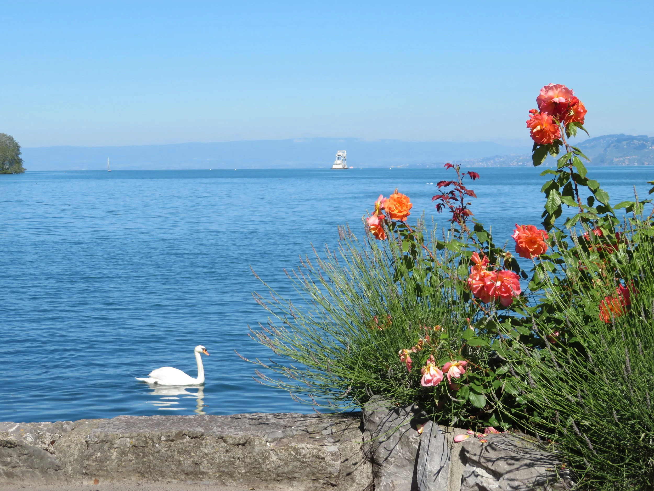 On the Shores of Lake Geneva and Beyond