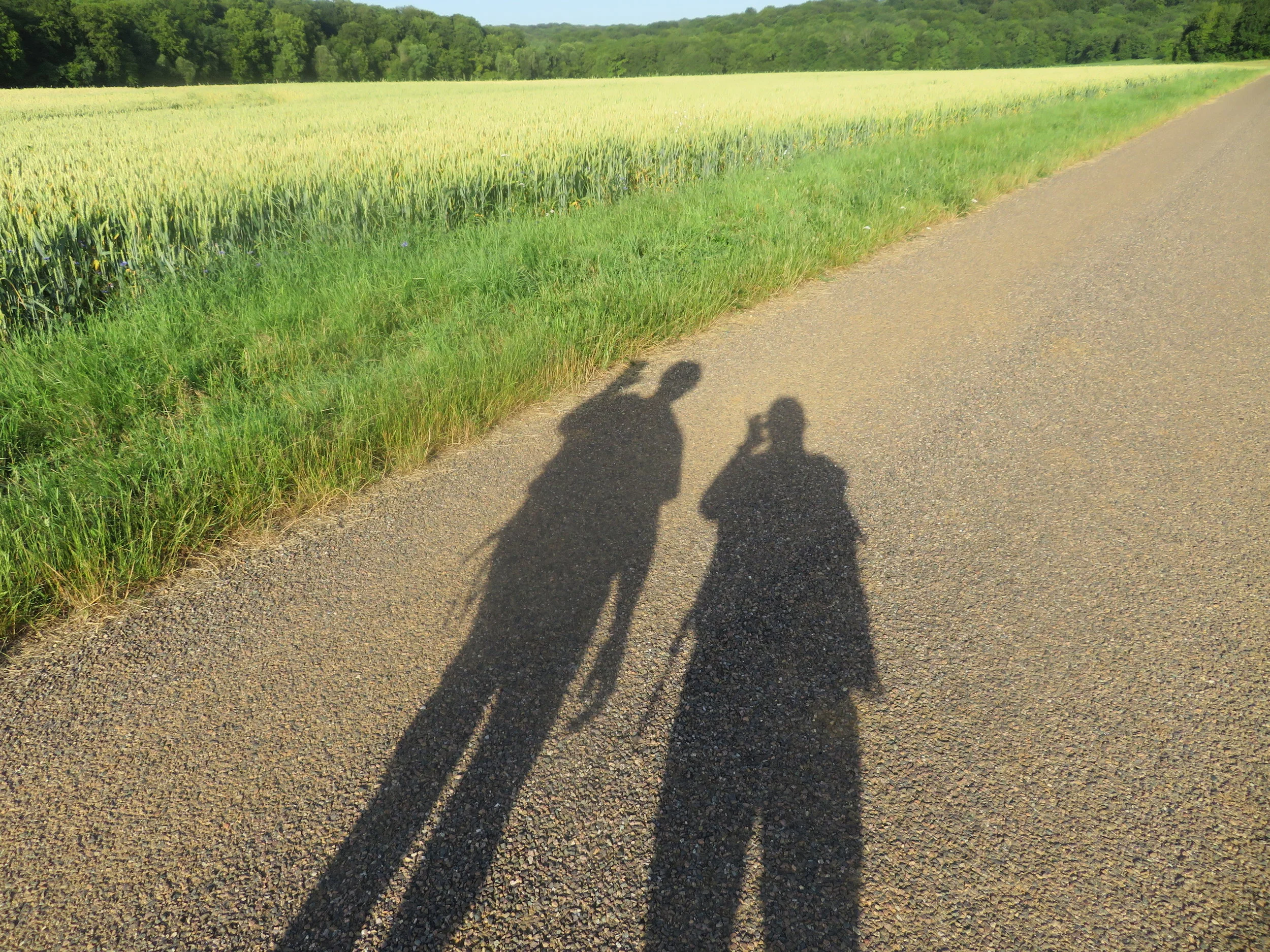 A Farmstay, A Heatwave, Two Million Steps &amp; A Chateau