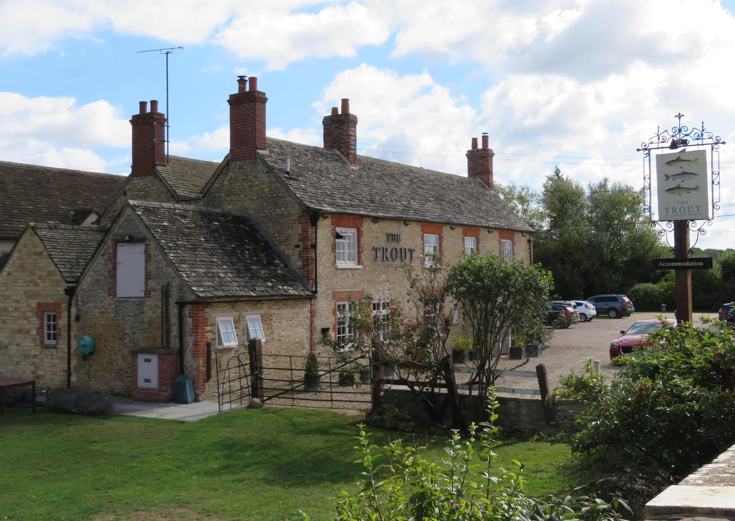 newbridge-tadpole_the trout.JPG