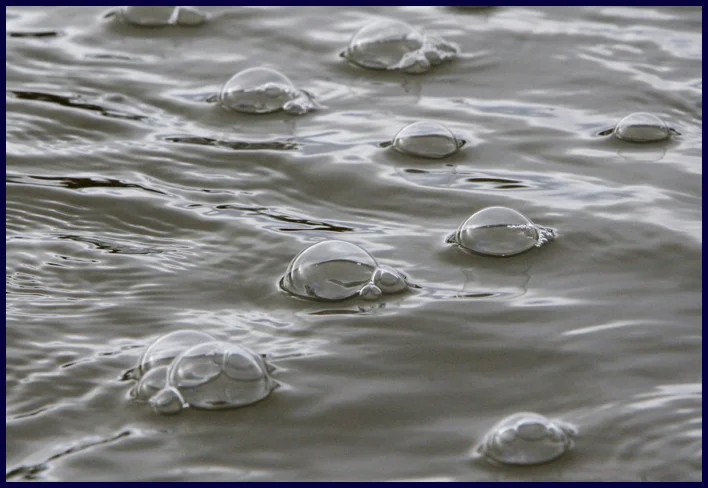 Blue View – Summer Reruns