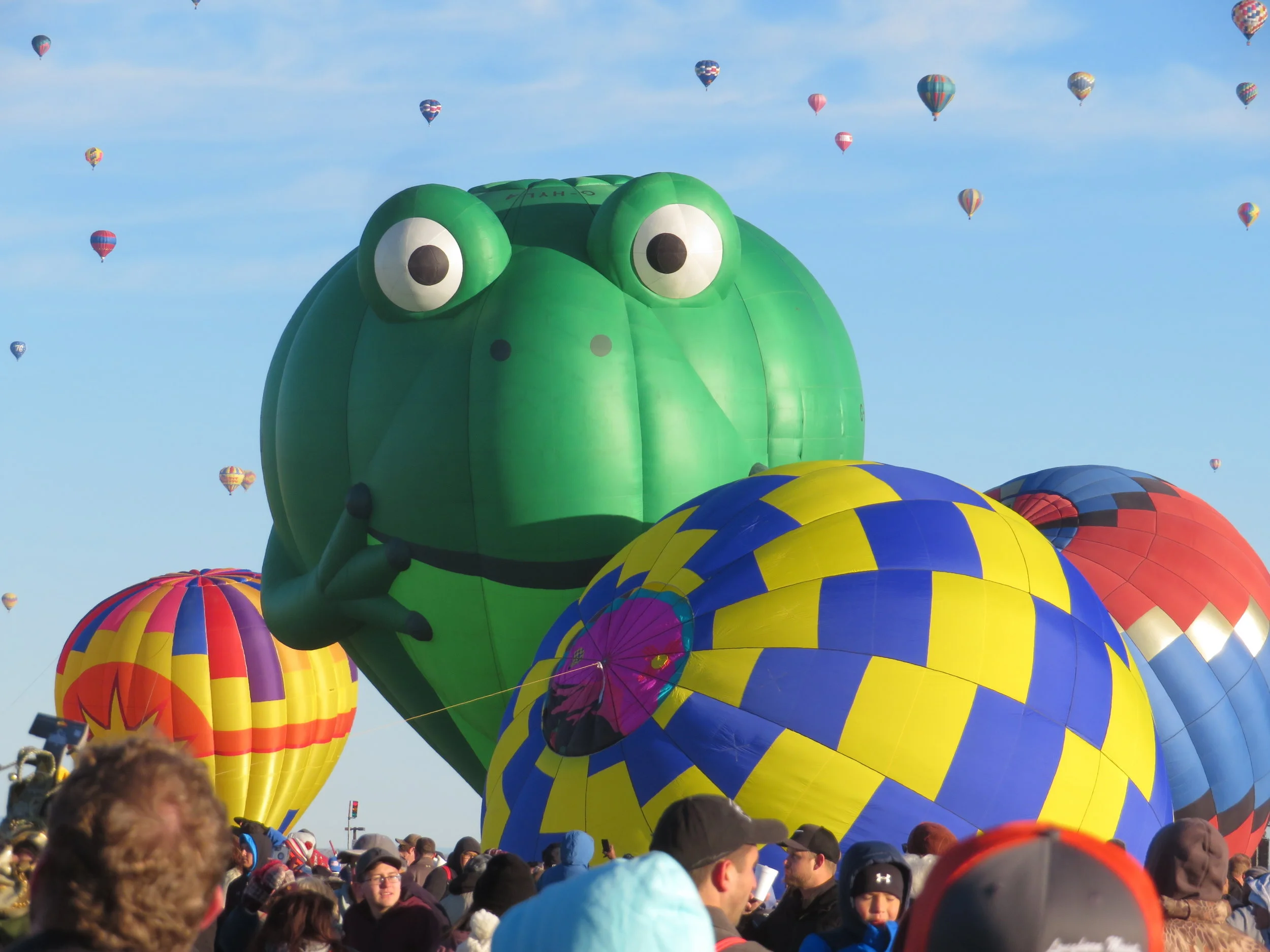 Albuquerque Balloon Fiesta - Special Shapes &amp; More