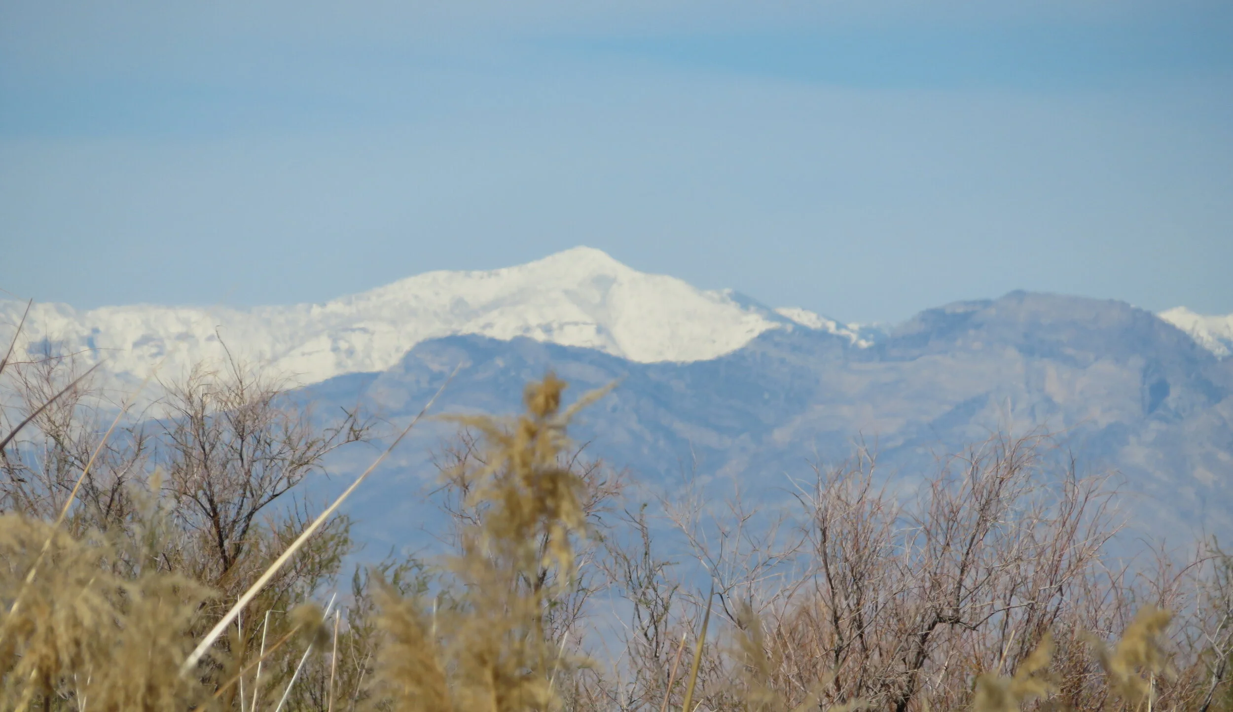  Winter Doldrums in Las Vegas