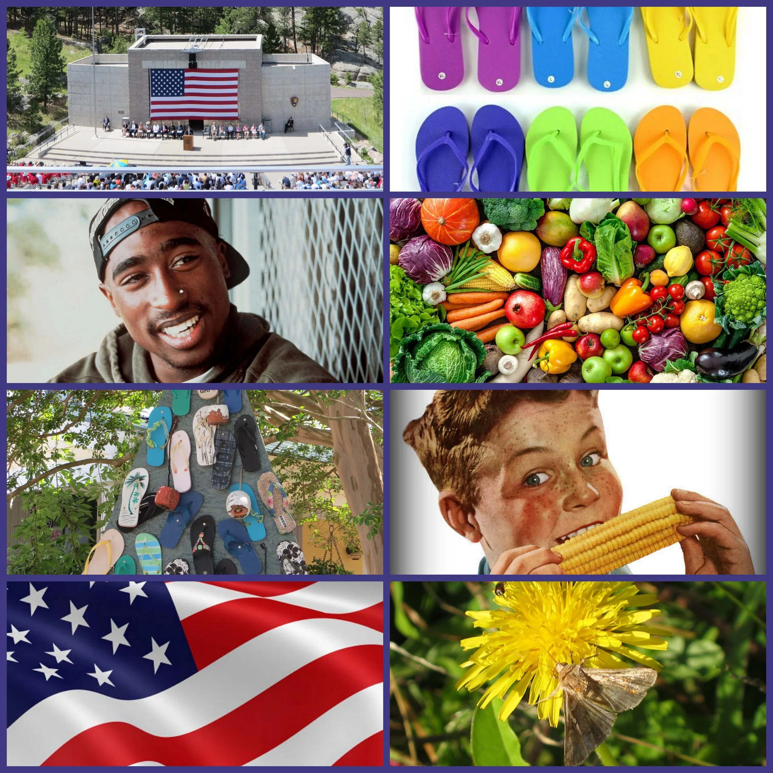 Days &amp; Ways to Celebrate - June 11- 17, 2020