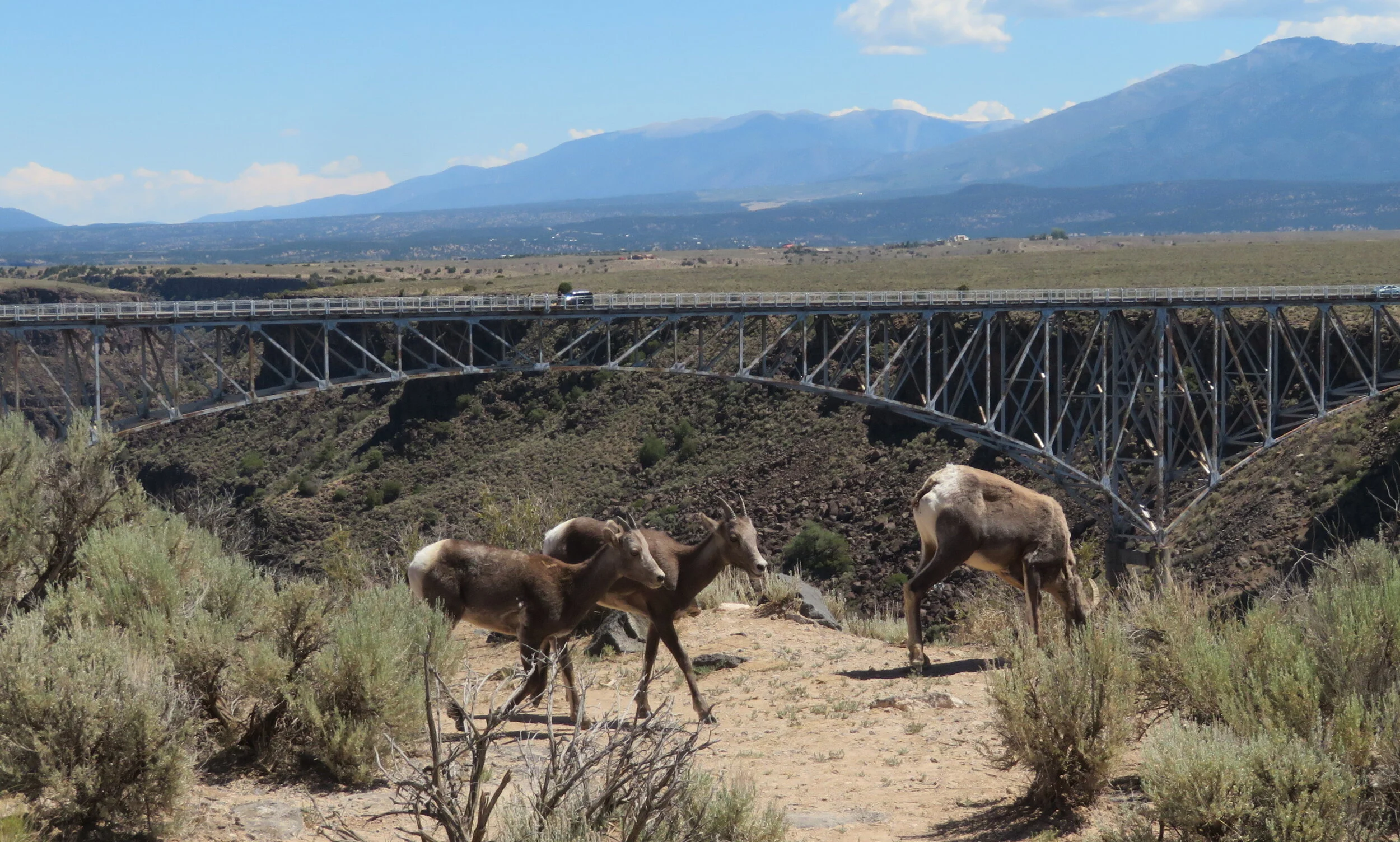Big Bridge, Earthships and Rio Grande del Norte National Monument