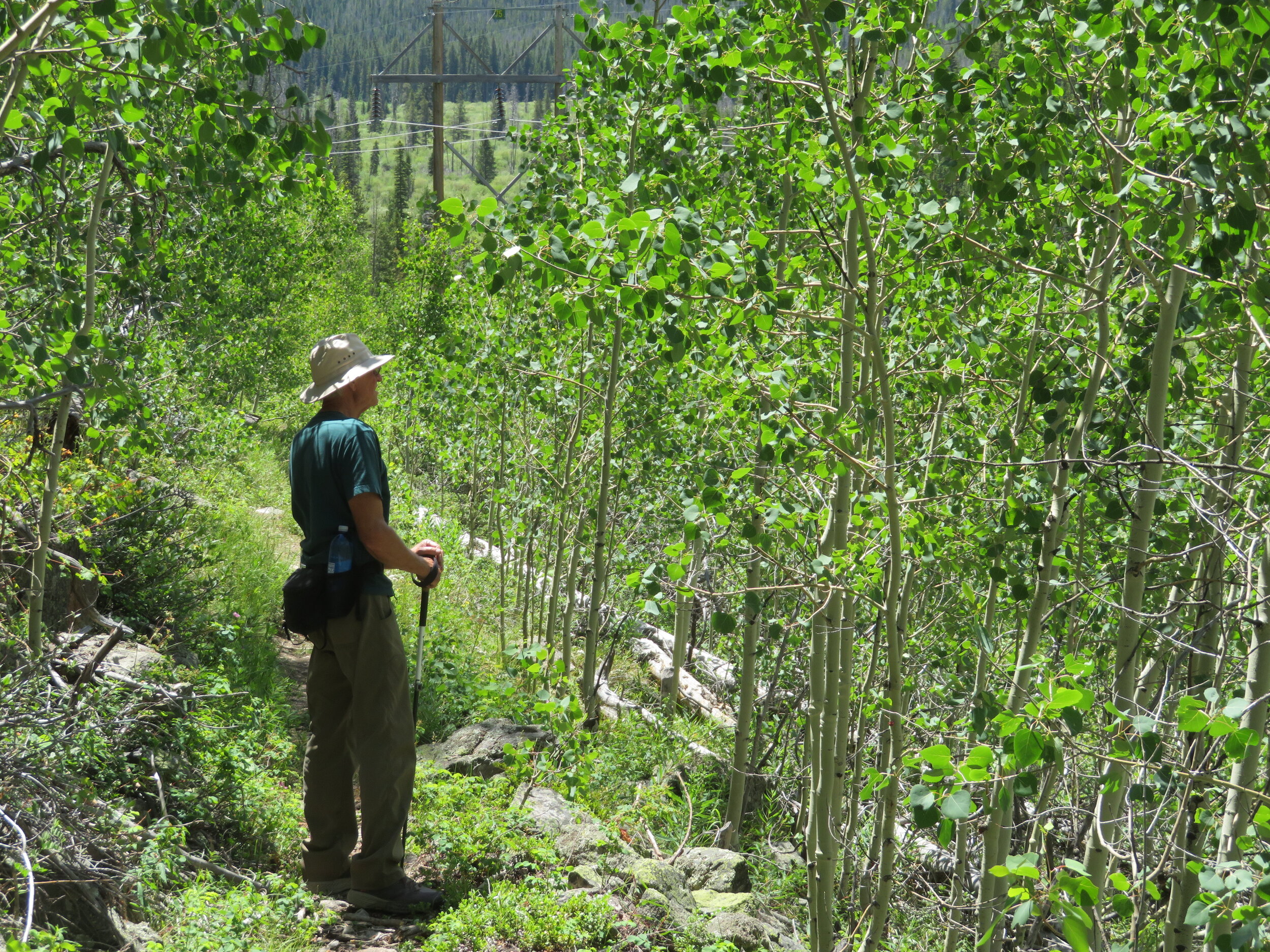 Blue View - Teenage Memories Revisited