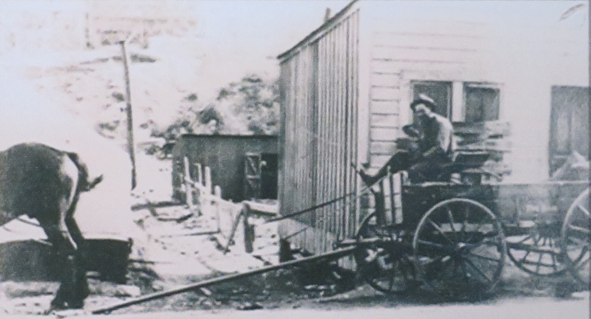 Blue View - The Last Stage Robbery