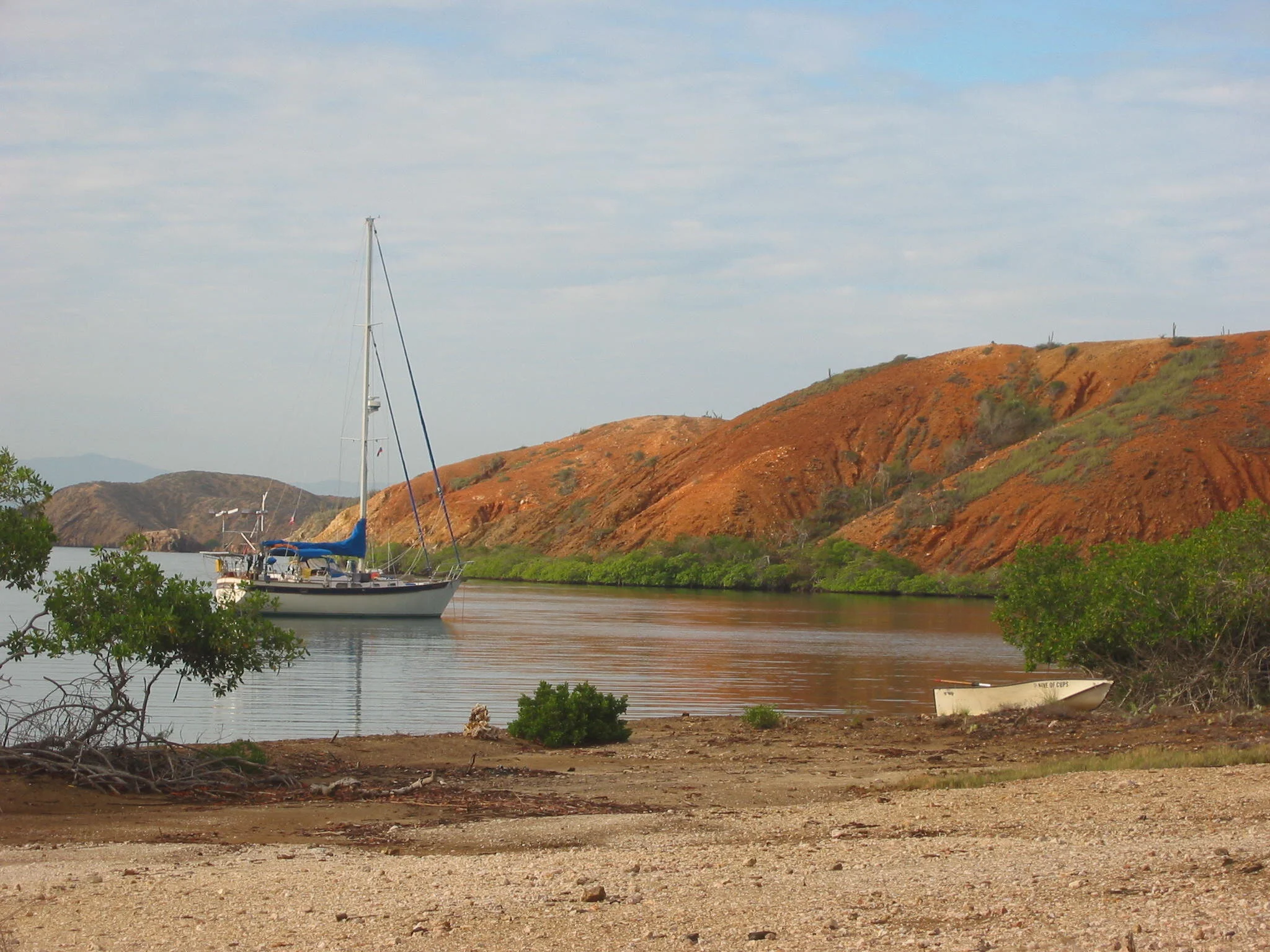 ven lg cups&dink.JPG