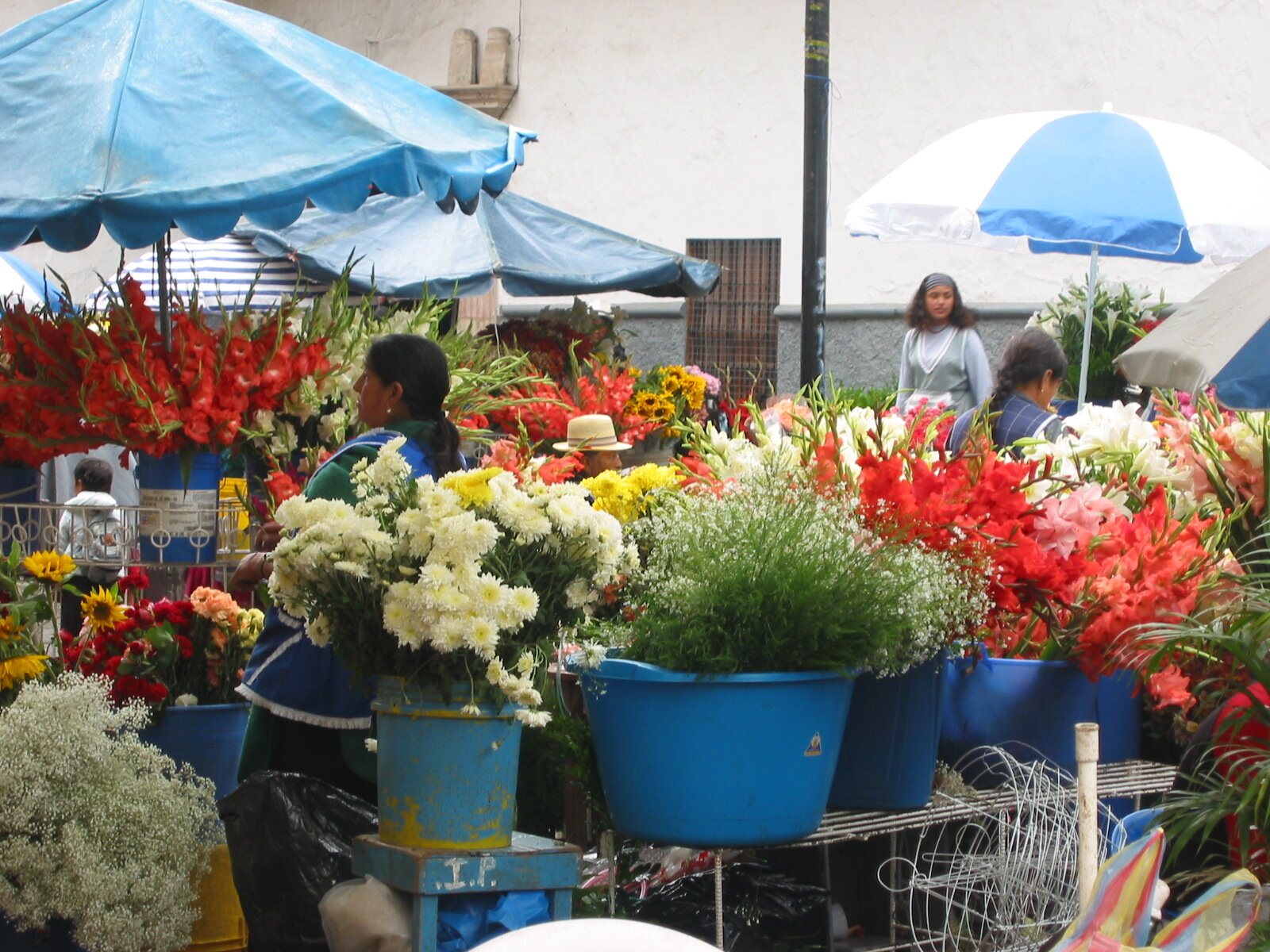 Colorful flower market