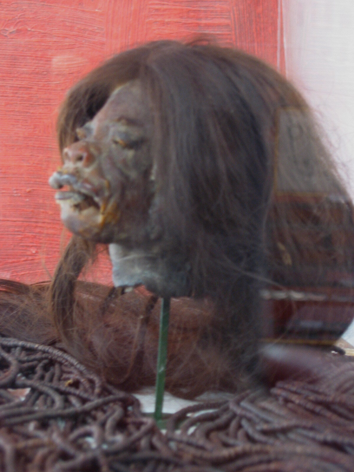 Tsatsa-shrunken head at the museum