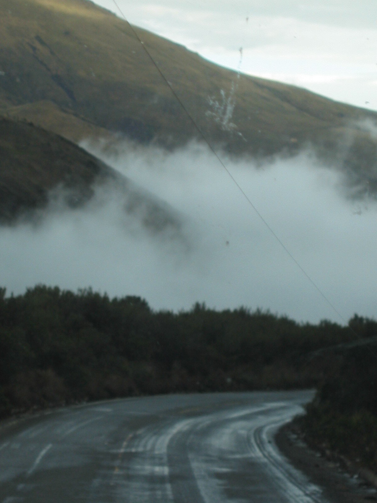 Traveling thru Cajas National Park