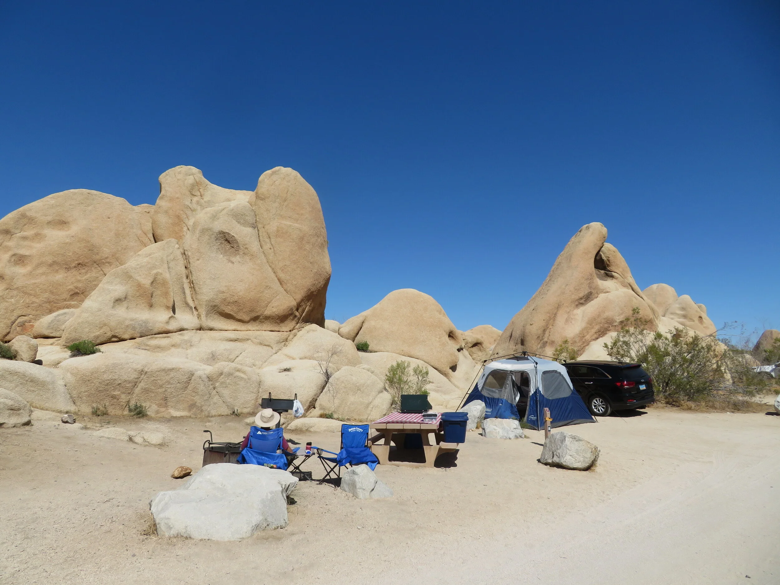 Camping in Joshua Tree National Park